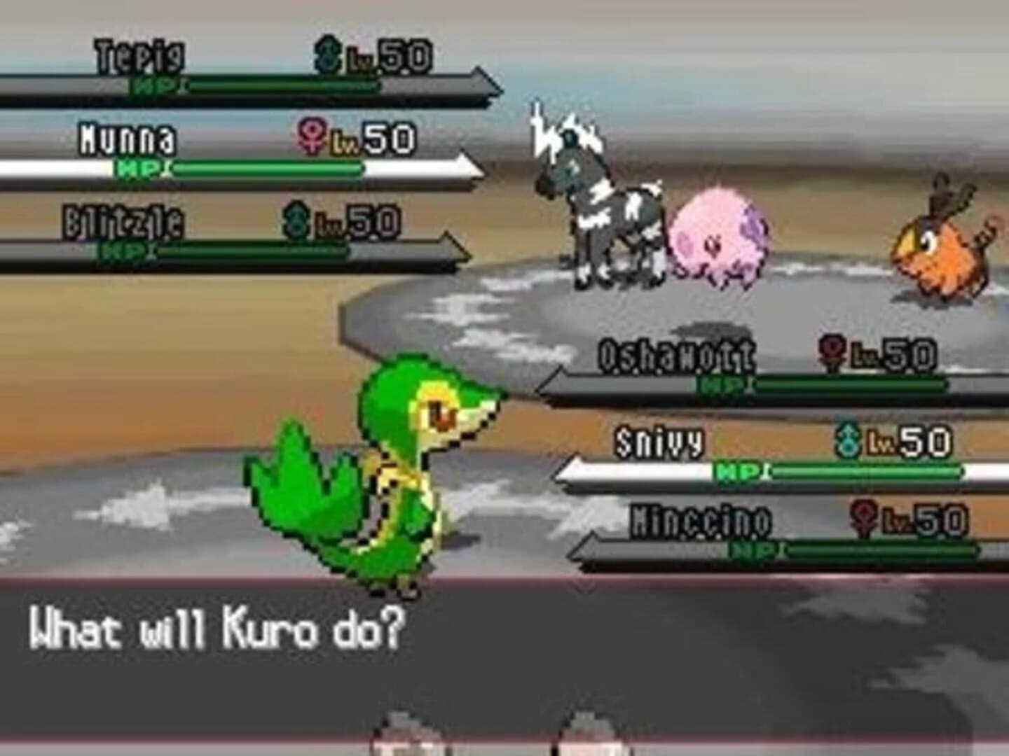 Pokémon White Version screenshot 1