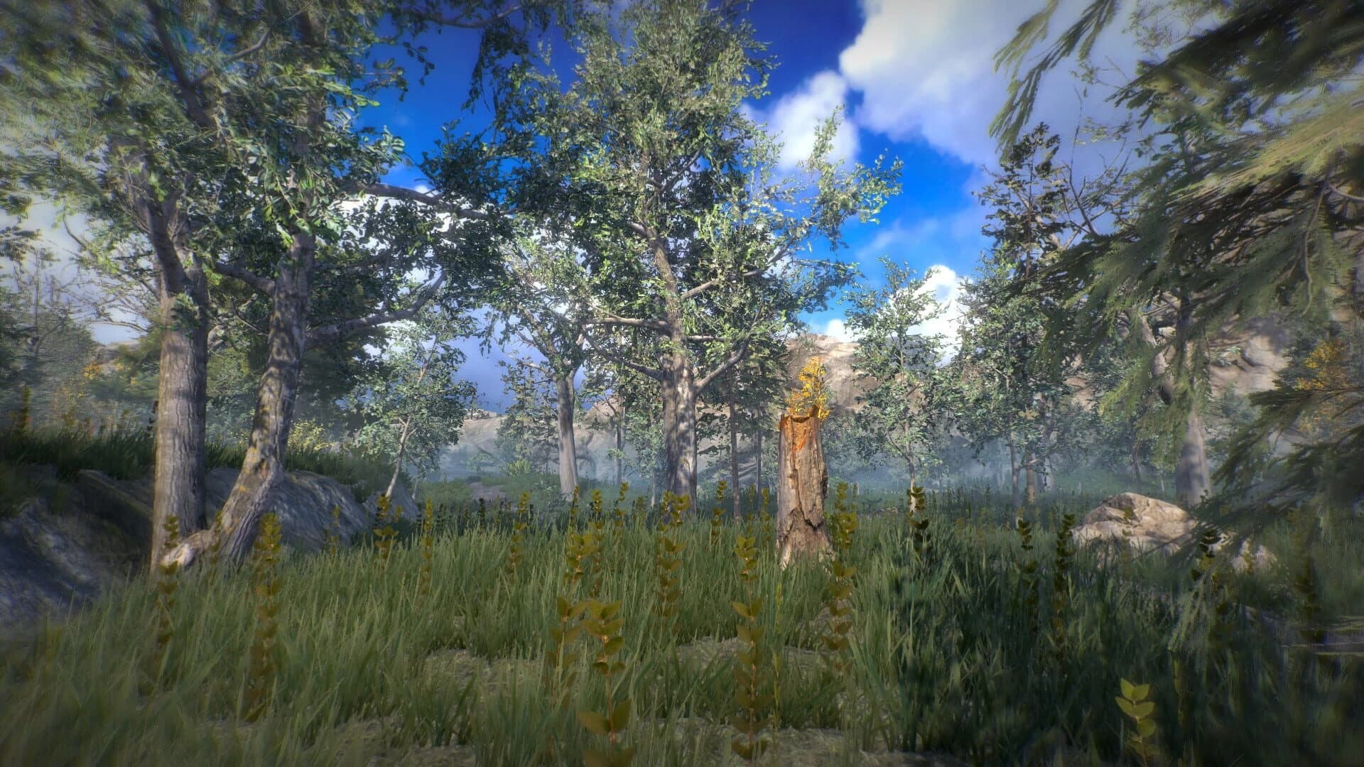 Position screenshot 5