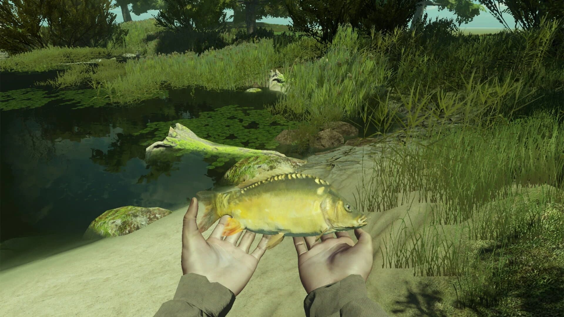 Professional Fishing screenshot 3