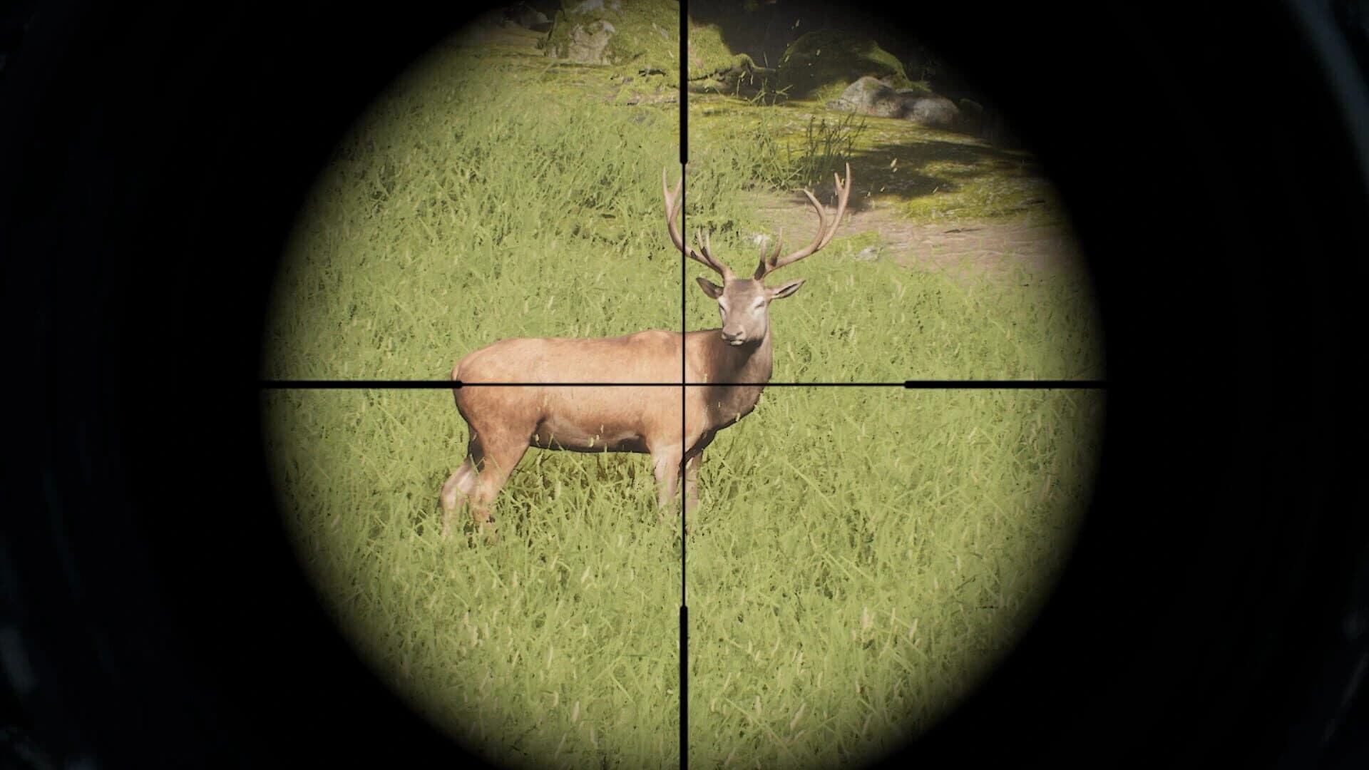 Project Hunt screenshot 3