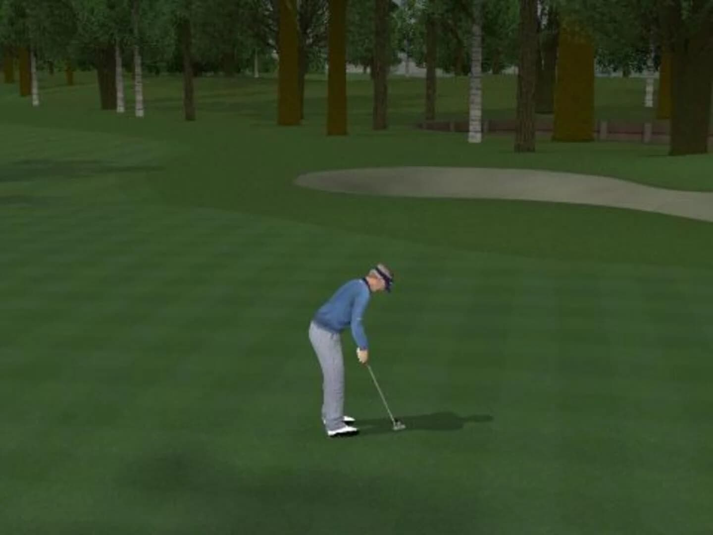 ProStroke Golf: World Tour 2007 screenshot 1