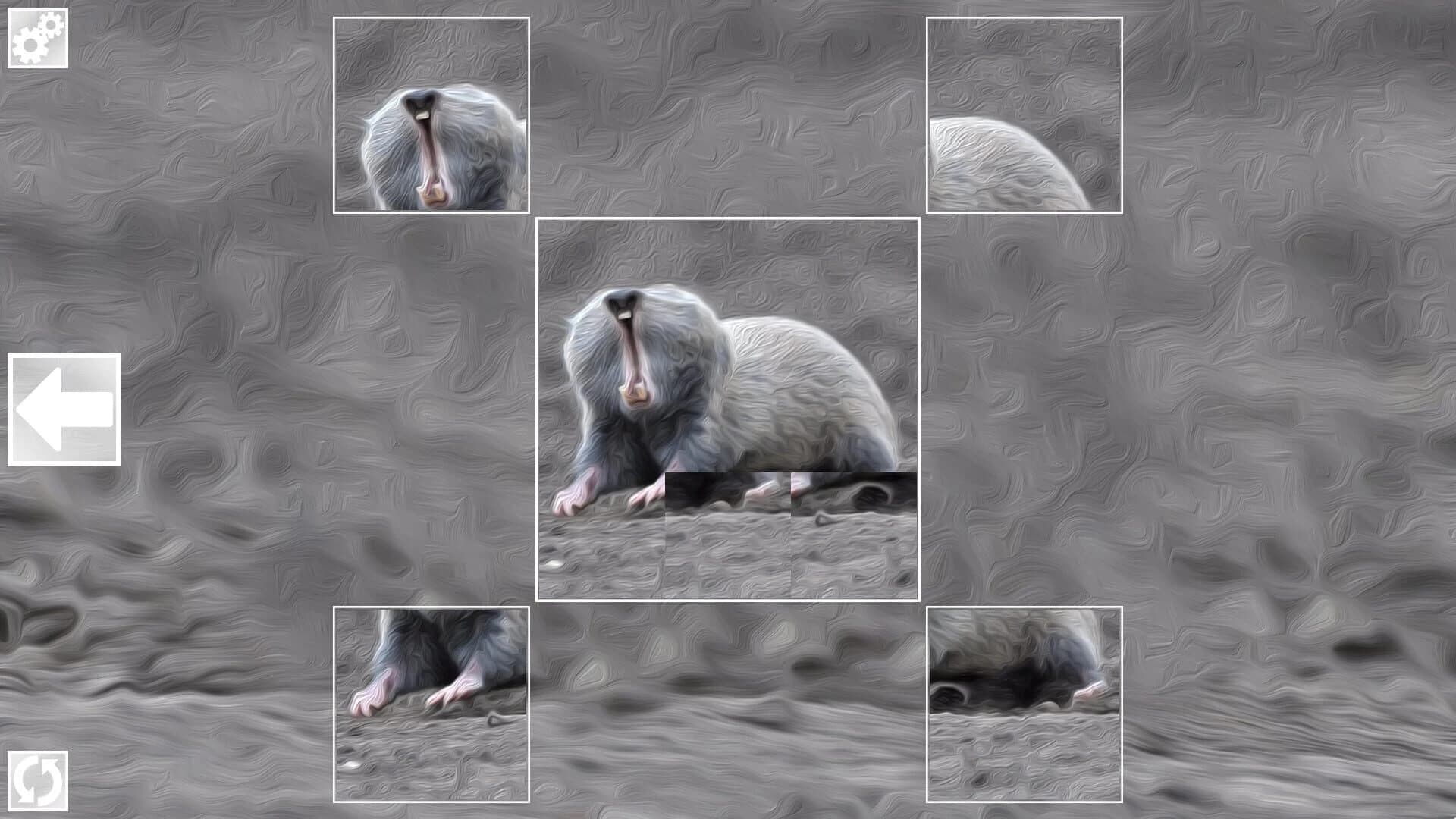 Puzzle Art: Rodents screenshot 3