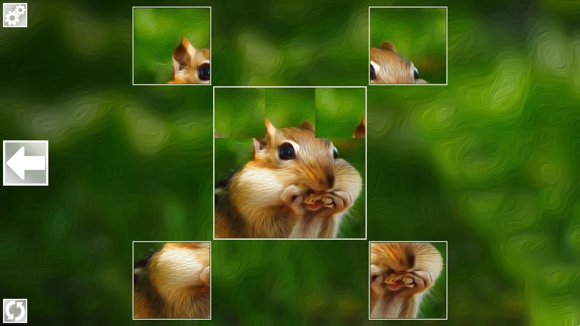 Puzzle Art: Rodents screenshot 2