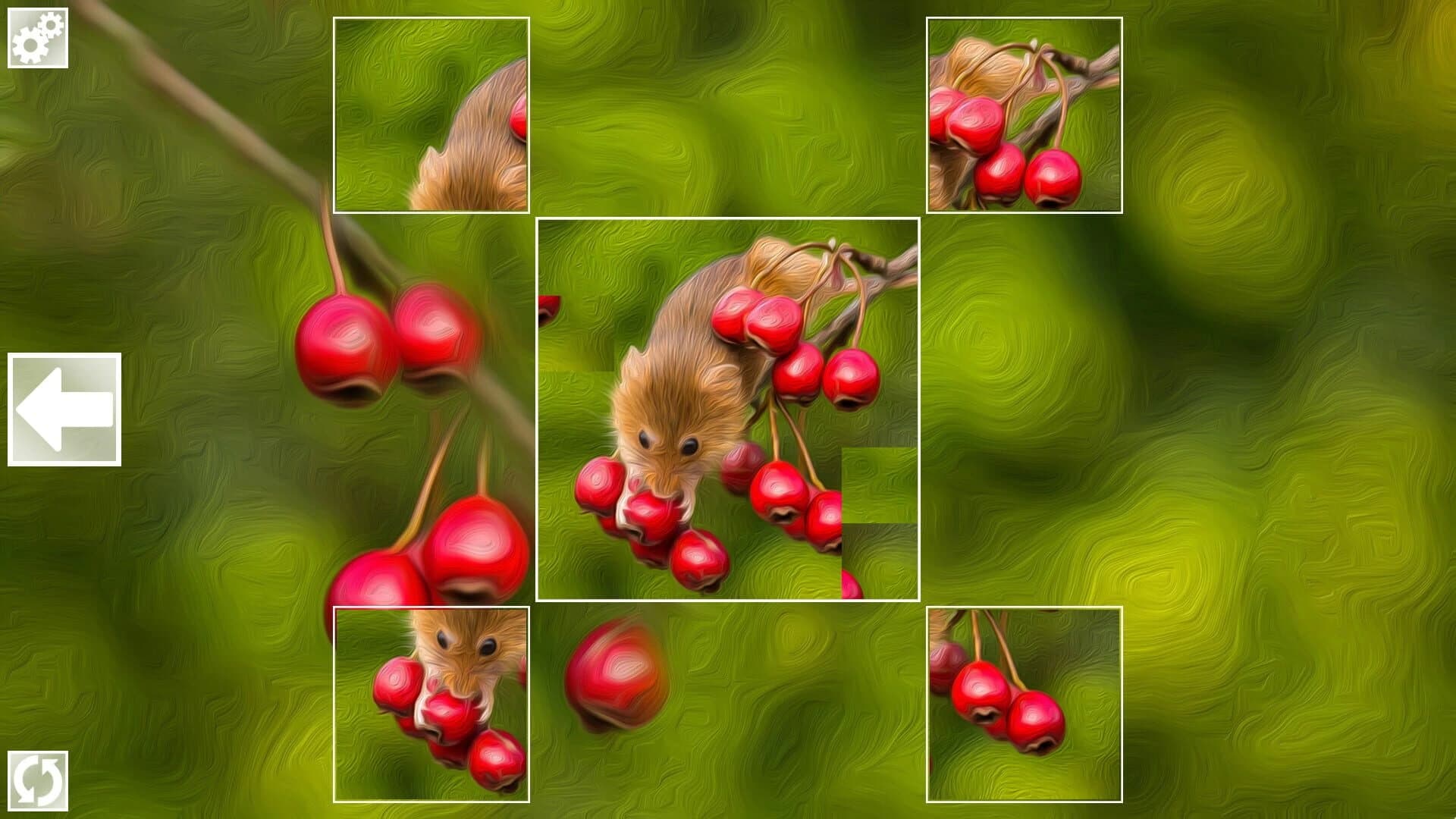 Puzzle Art: Rodents screenshot 4