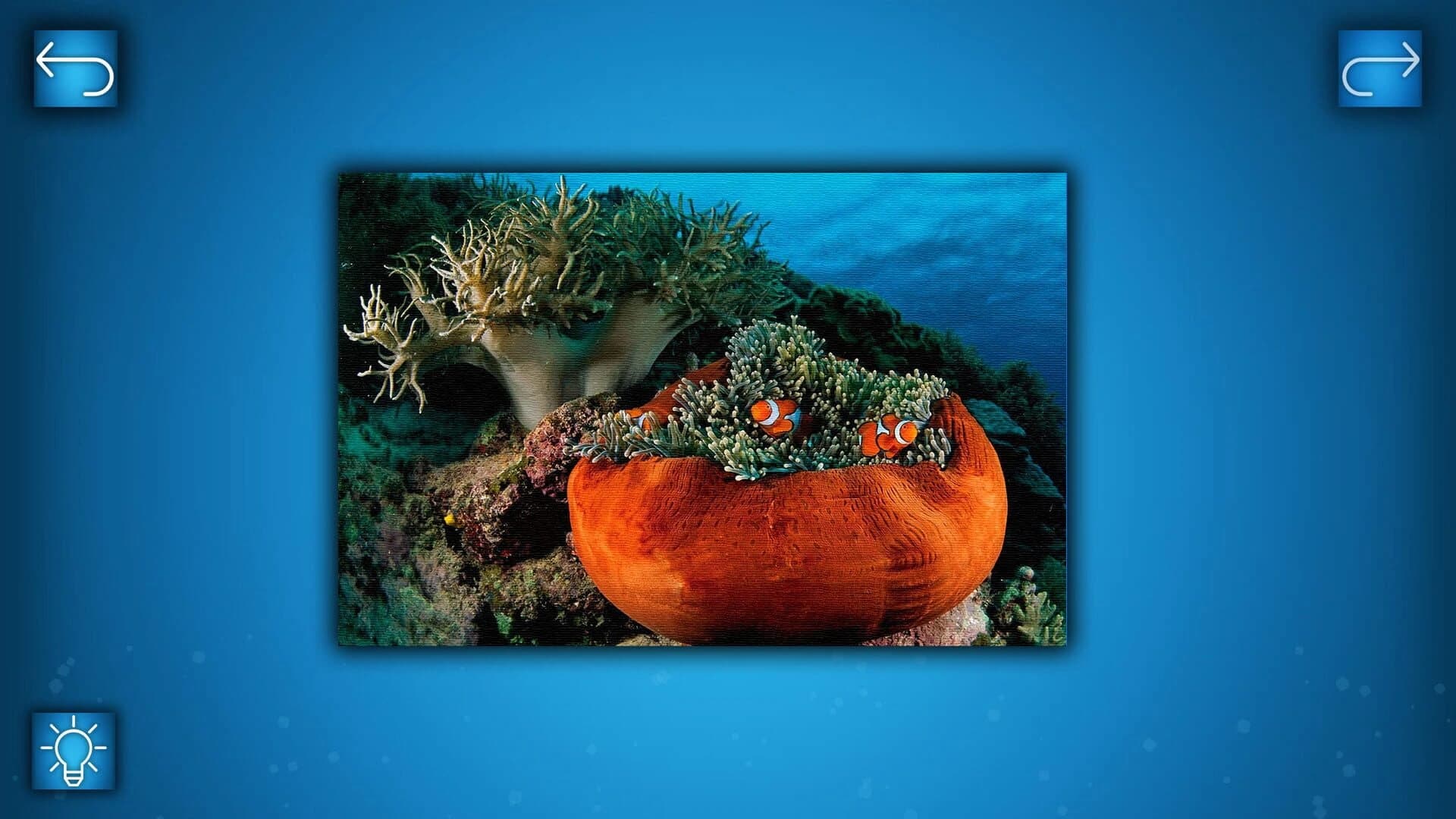 Puzzle: Ocean screenshot 2