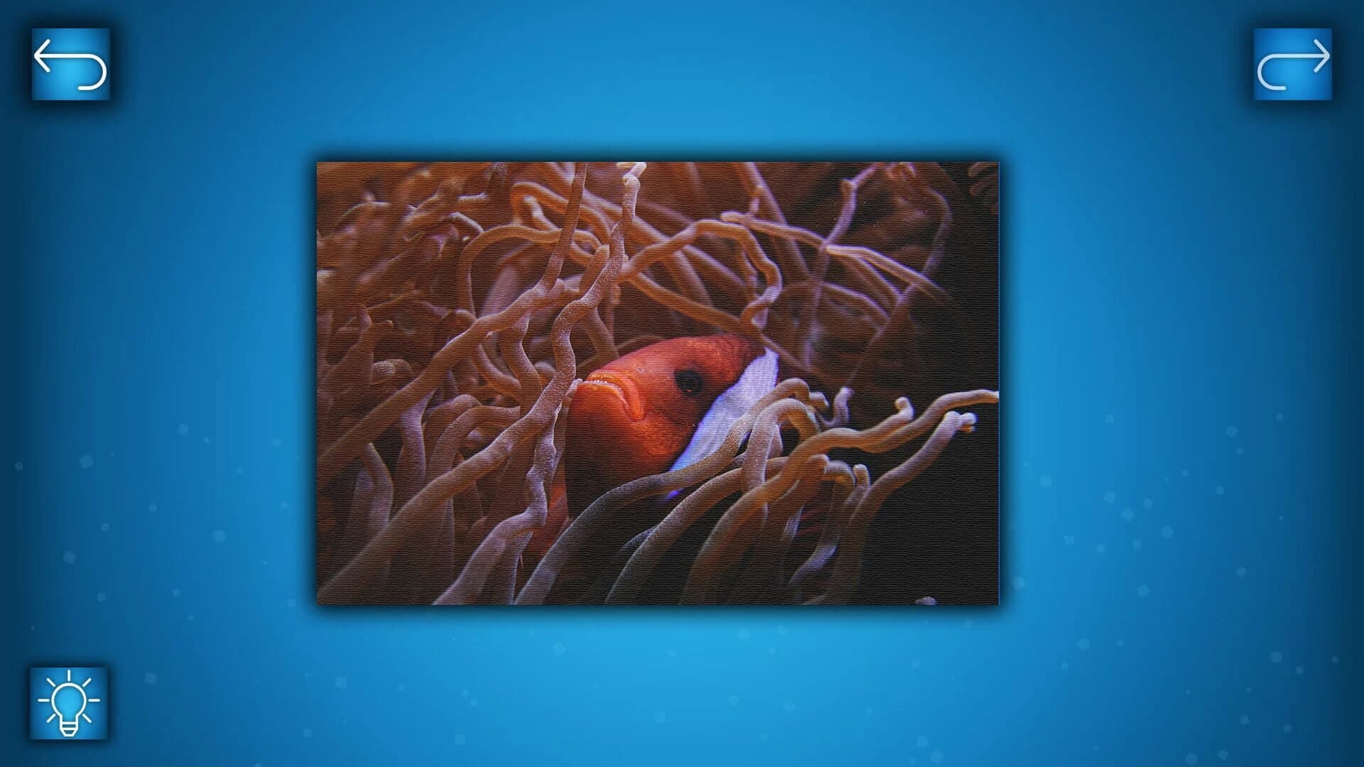 Puzzle: Ocean screenshot 5