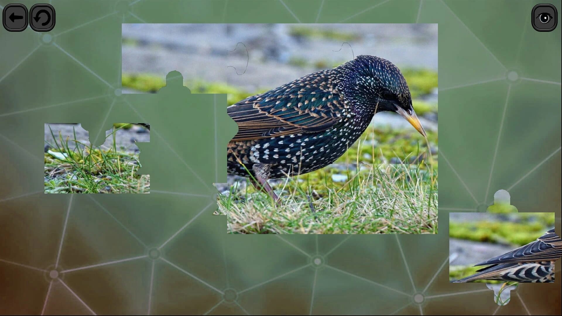 Puzzles for Smart: Birds screenshot 2