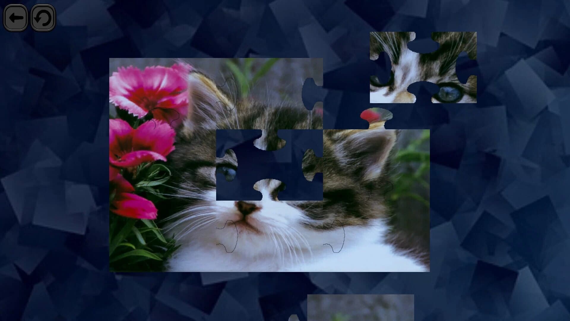 Puzzles for smart: Cats screenshot 3