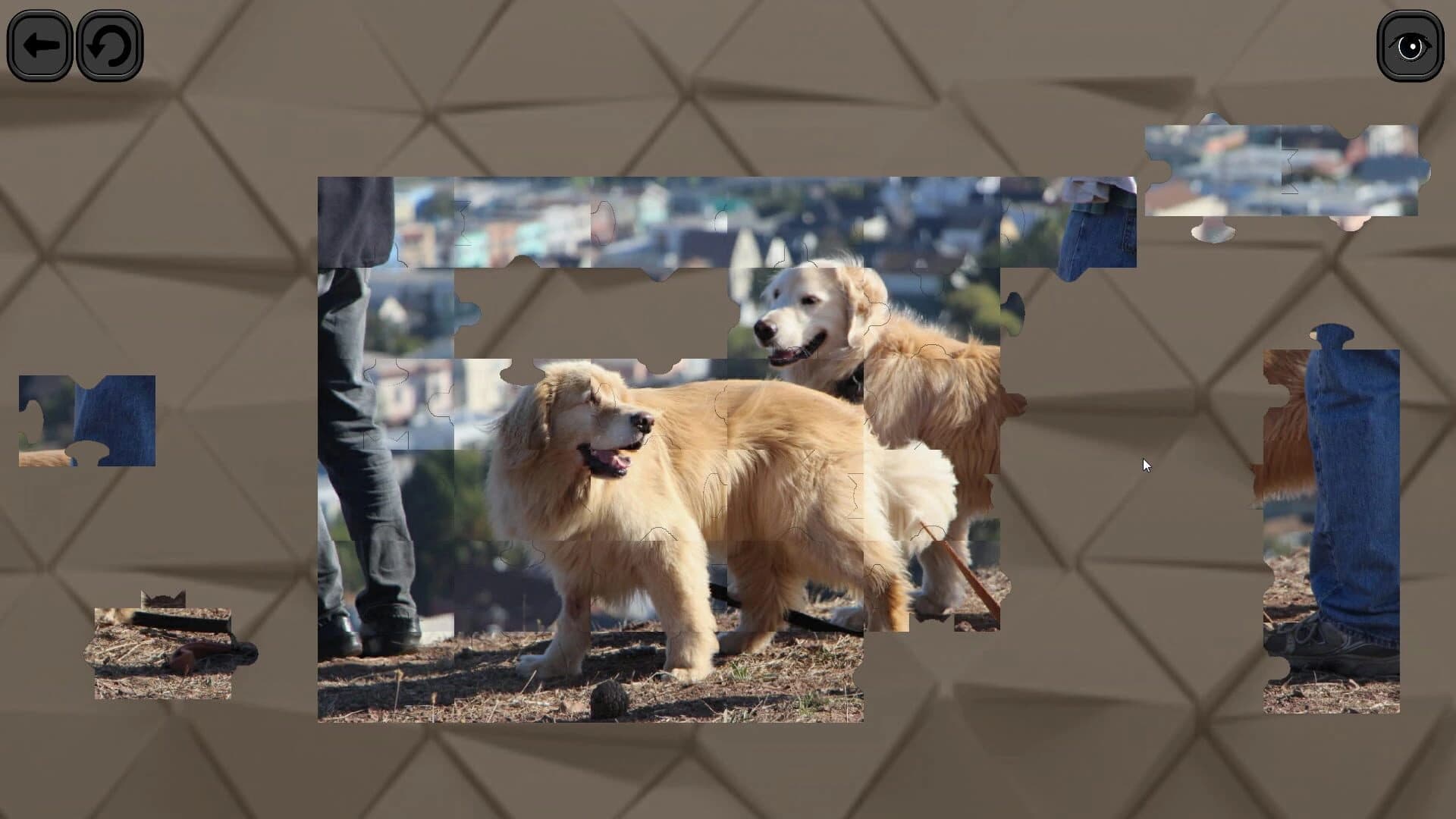 Puzzles for smart: Dogs screenshot 2