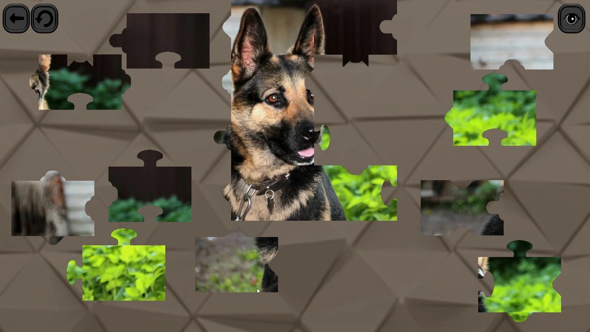 Puzzles for smart: Dogs screenshot 3