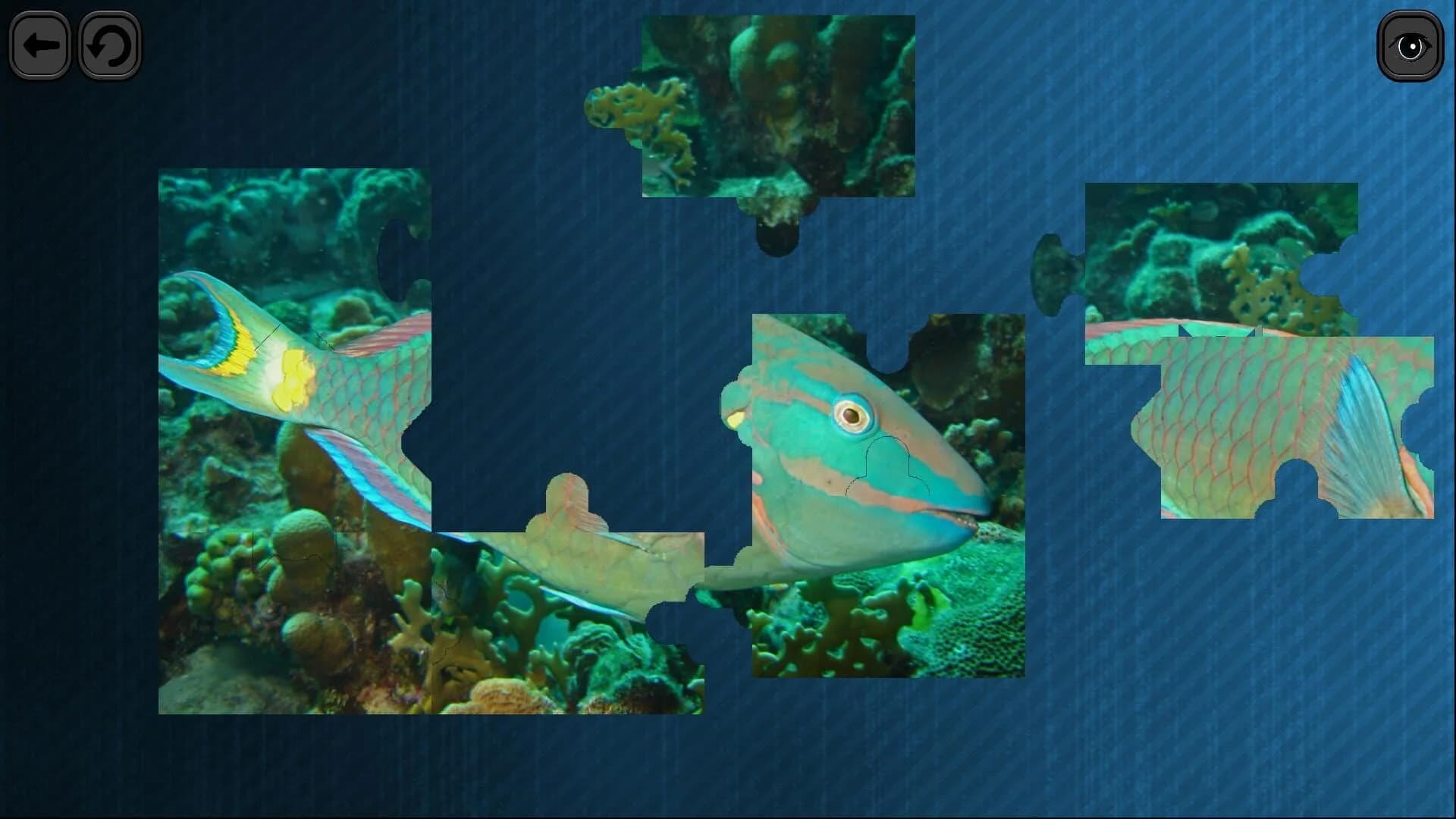 Puzzles for smart: Underwater Kingdom screenshot 2