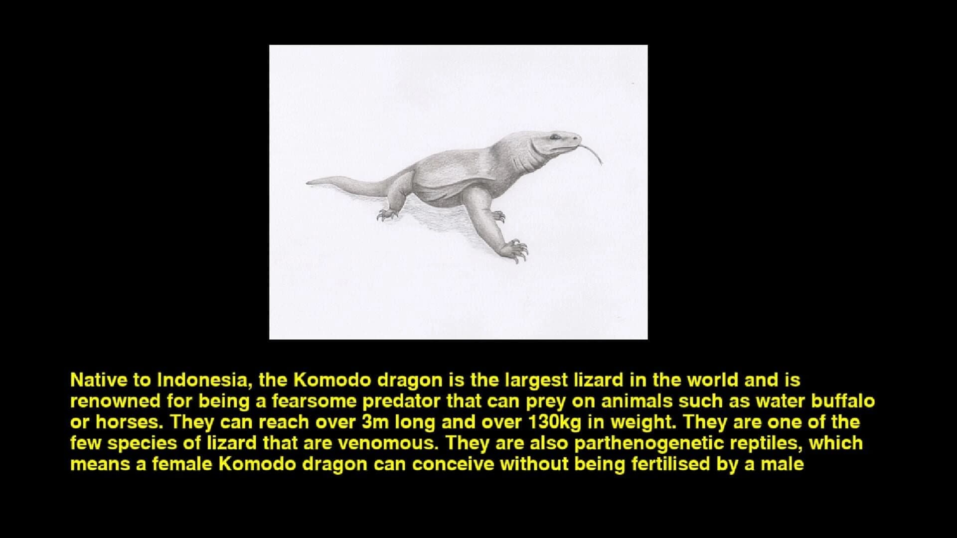 Quiz & Learn: Animals screenshot 6