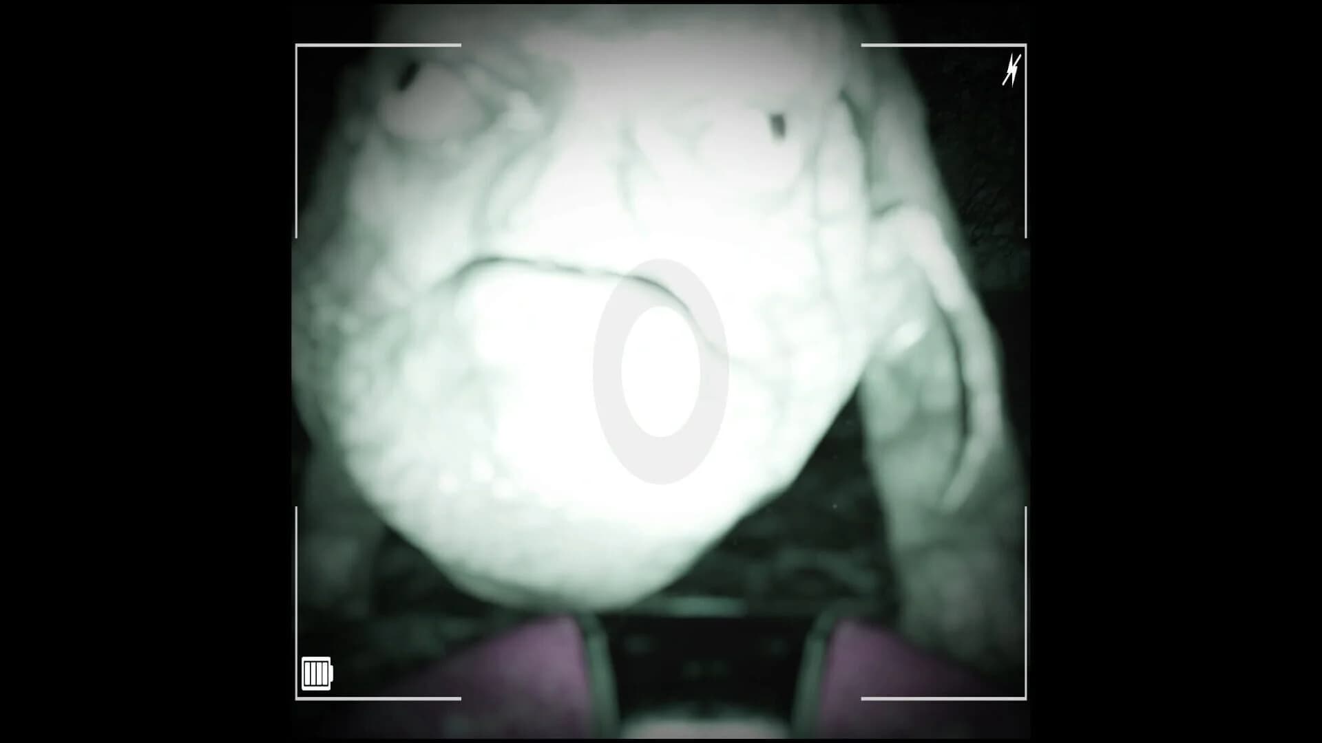 Raccoon on a Boat screenshot 5