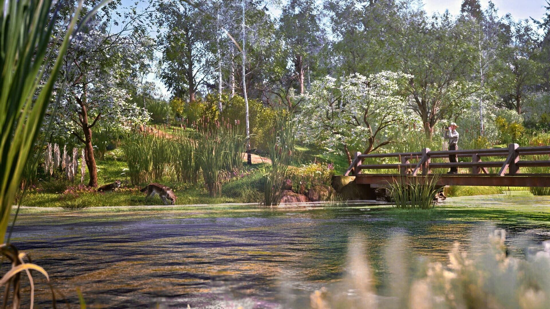 Ranger’s Path: National Park Simulator screenshot 5