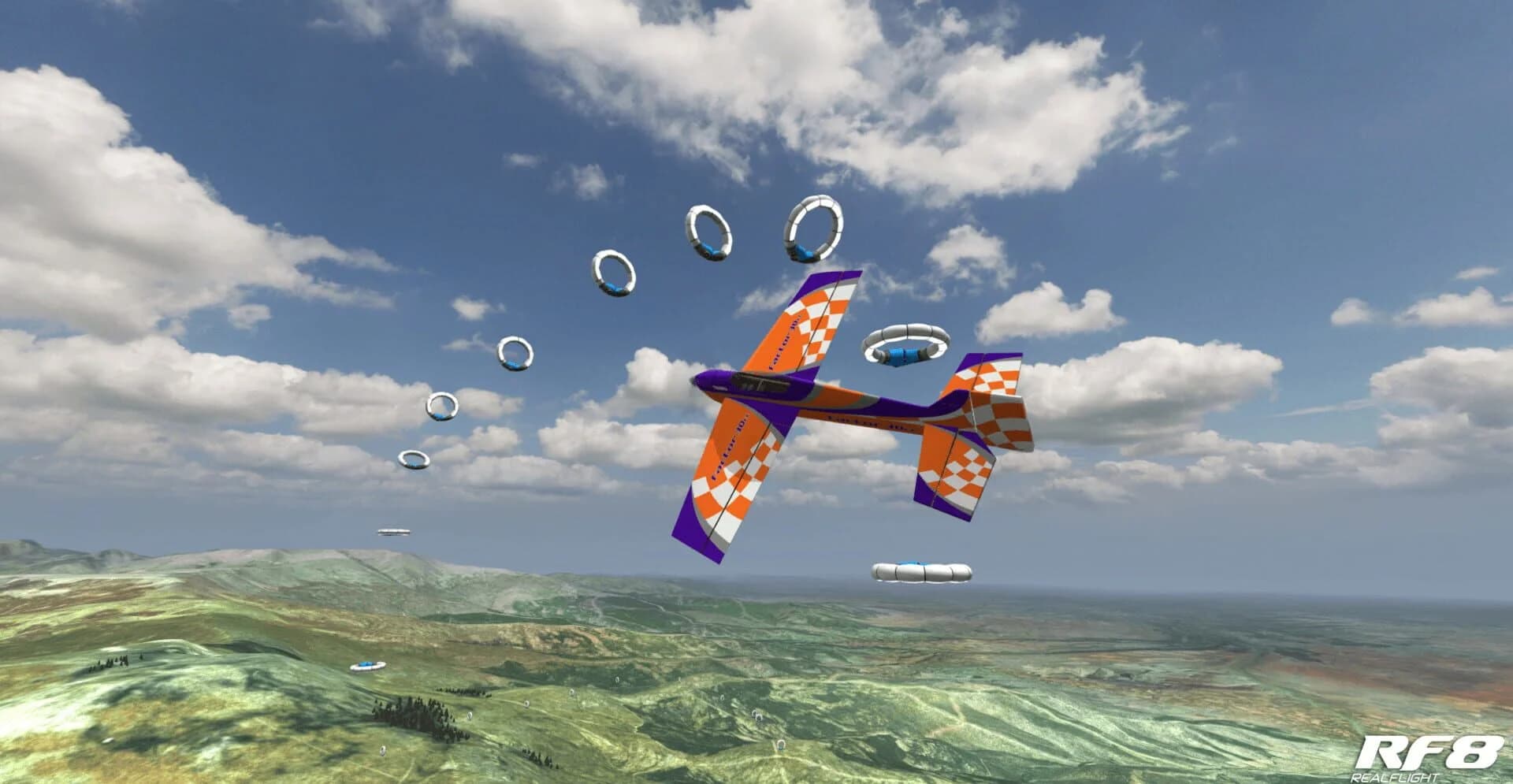 RealFlight 8 screenshot 3