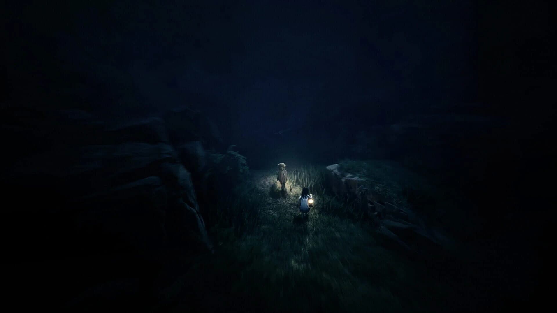 Reanimal: Collector's Edition screenshot 16