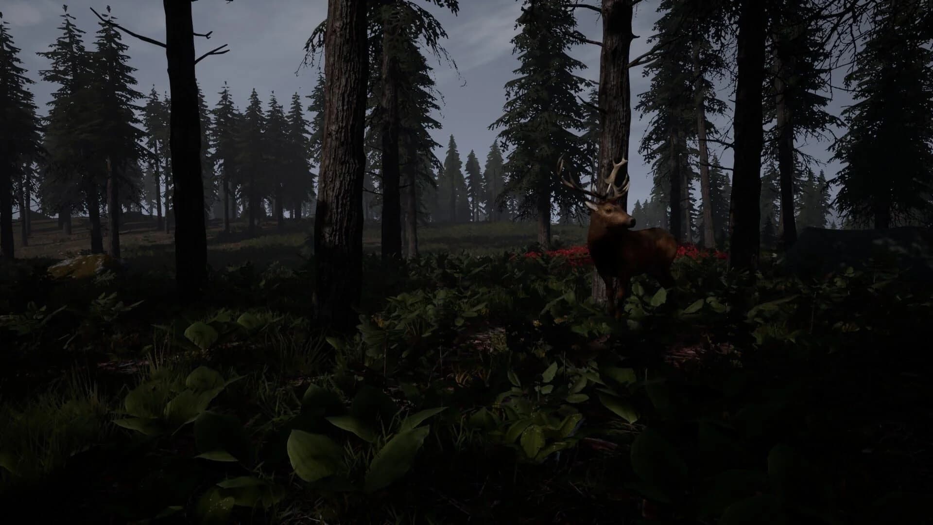 Reborn: Survival screenshot 1