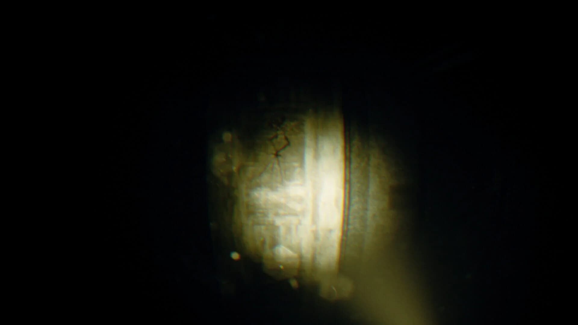 Rec: Beyond The Lens screenshot 3
