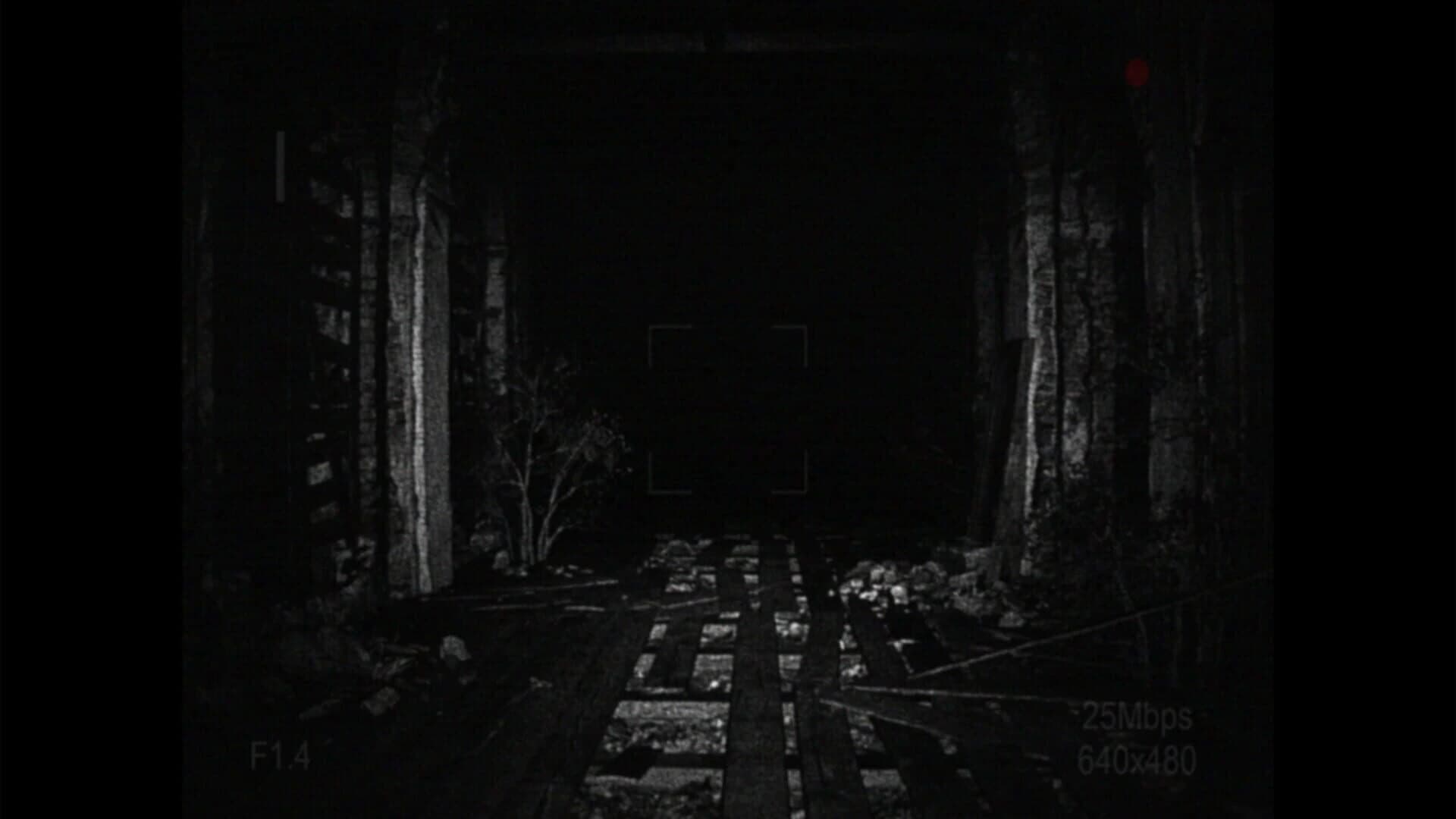 [REC] Desolation screenshot 3