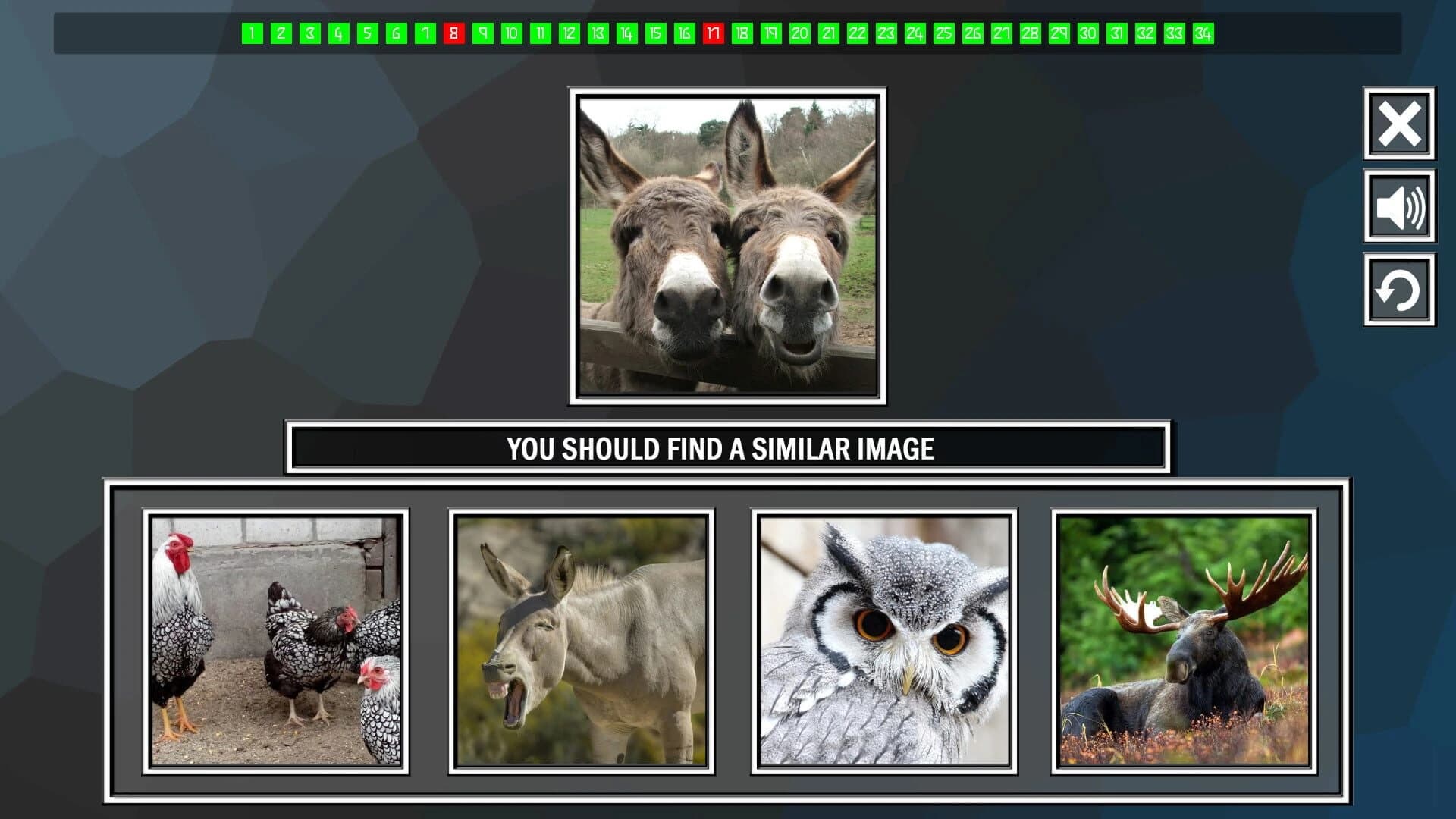 Repeat the image: Animals screenshot 3
