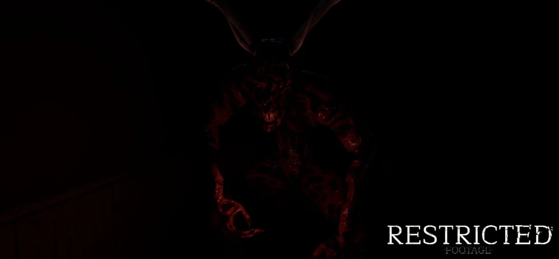 Restricted Footage screenshot 2