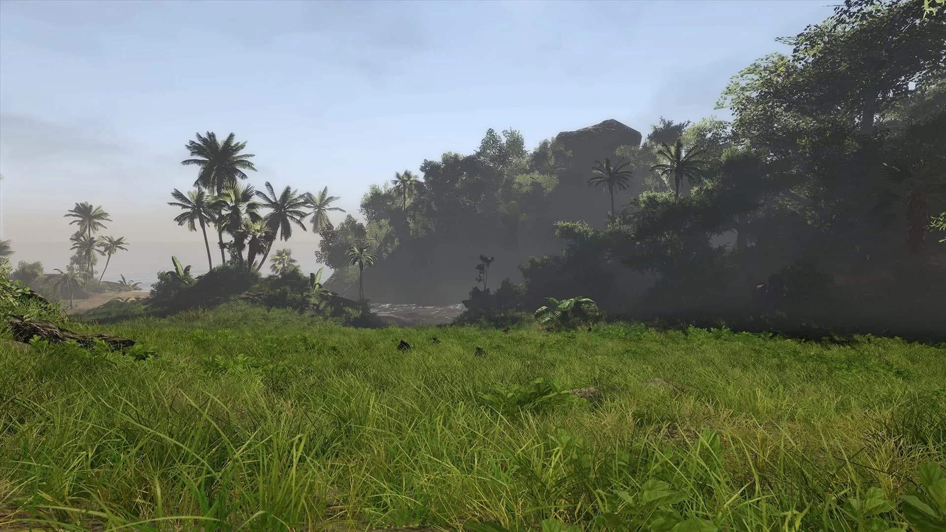 Risen 2: Dark Waters screenshot 3