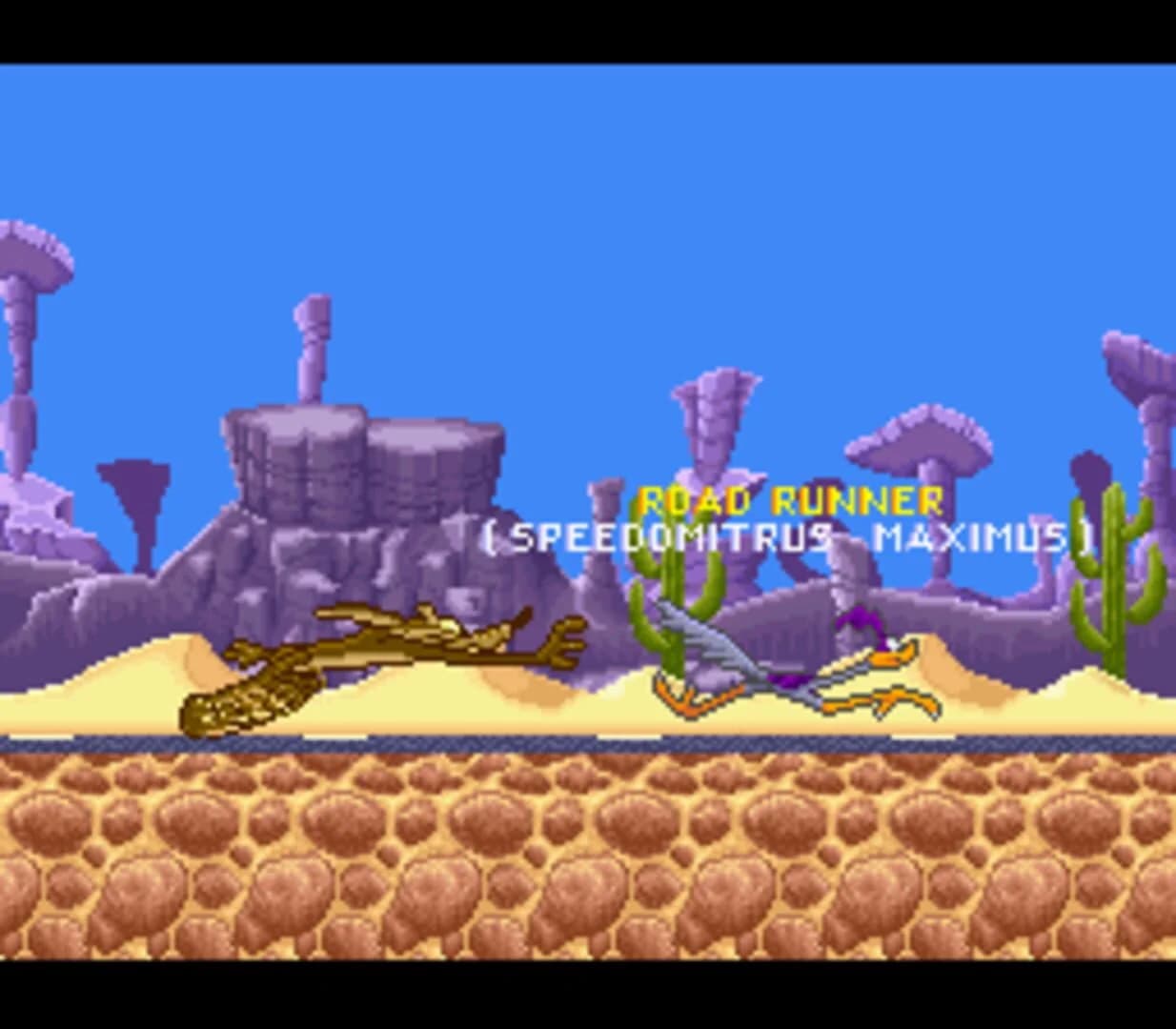 Road Runner's Death Valley Rally screenshot 3