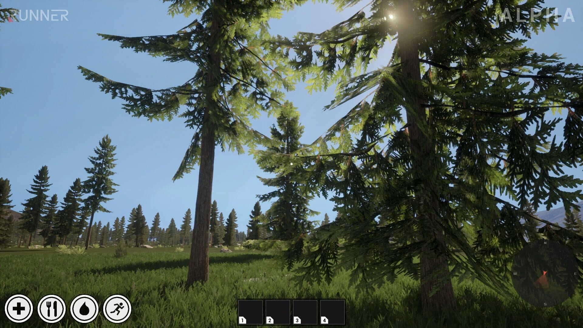 Runner screenshot 3