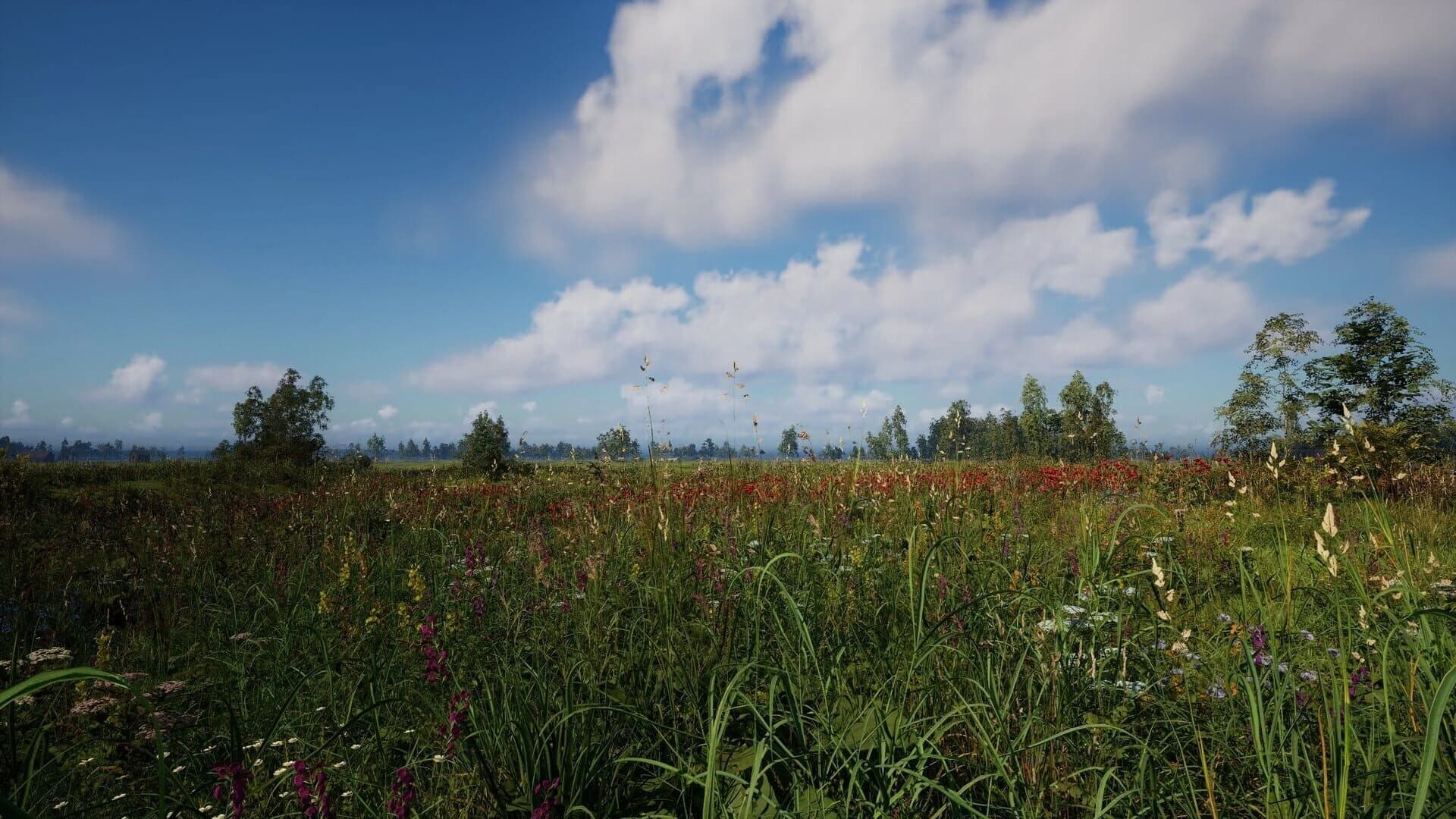 Russian Soul Simulator screenshot 1