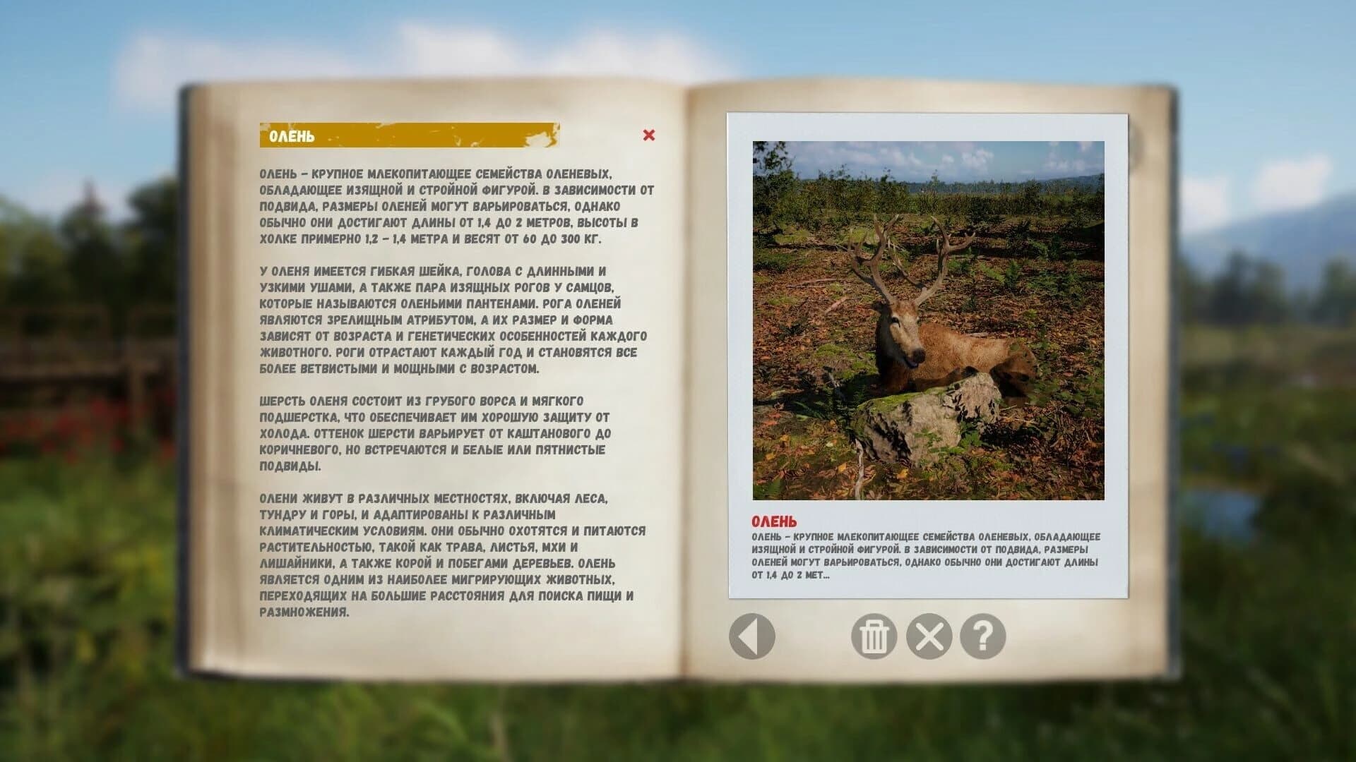 Russian Soul Simulator screenshot 3