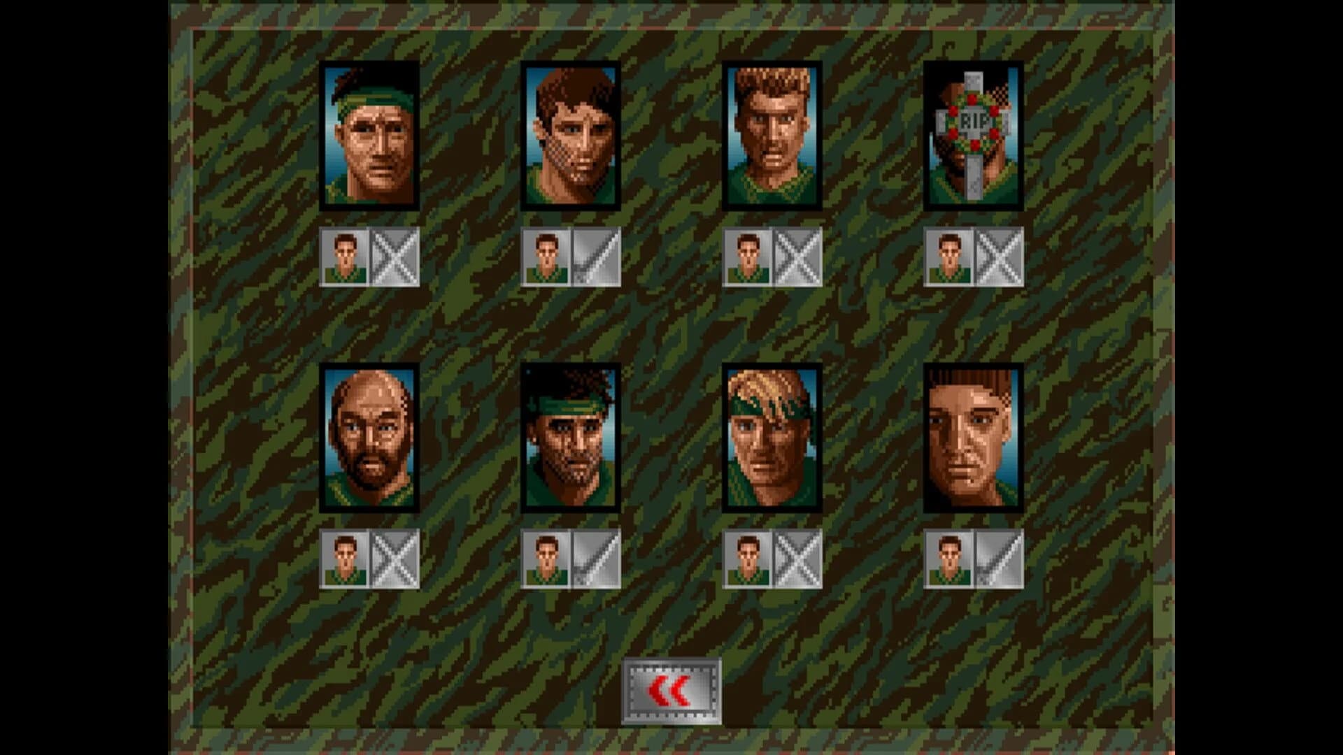 Sabre Team screenshot 3