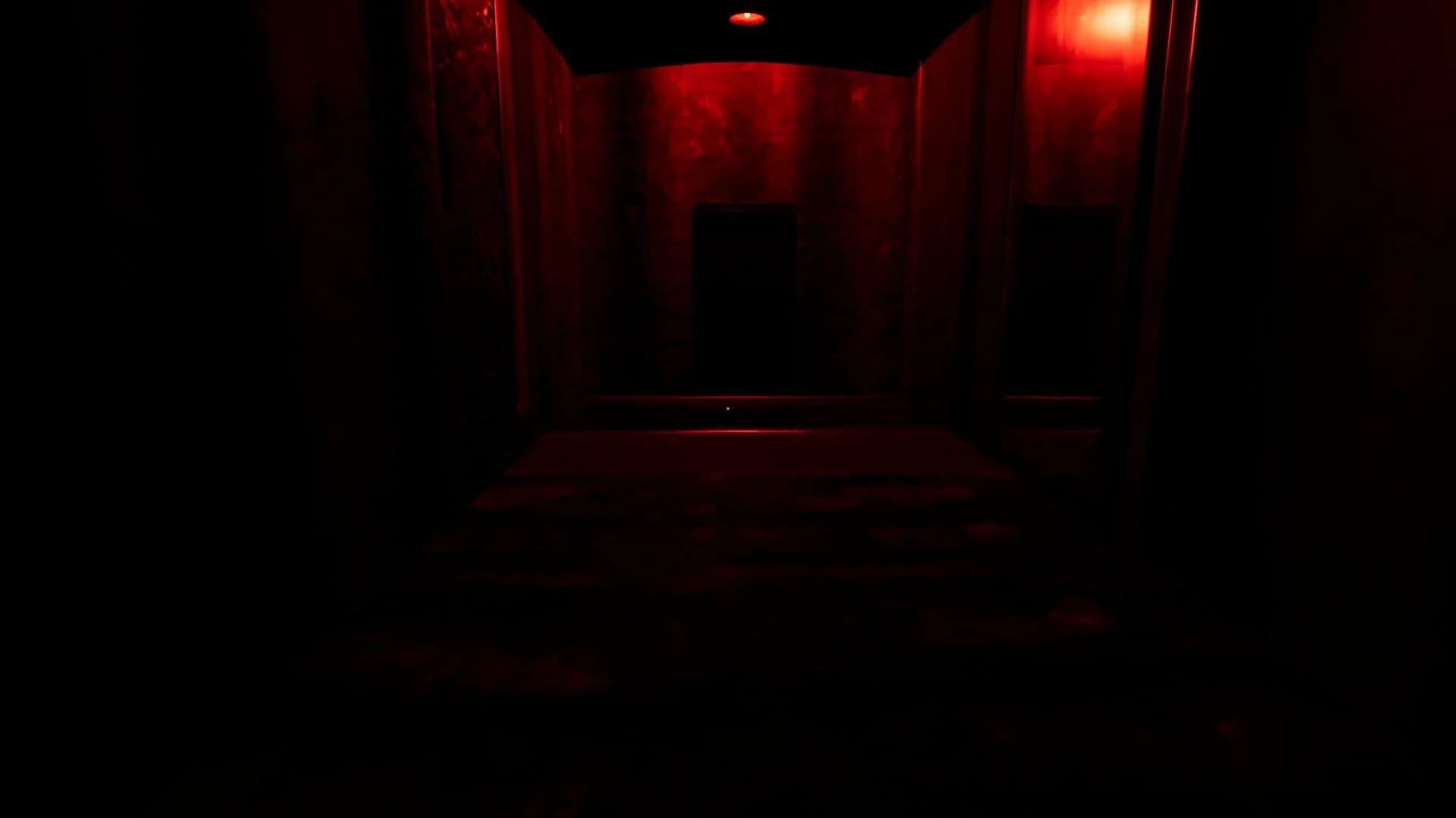 Schizophrenia screenshot 5