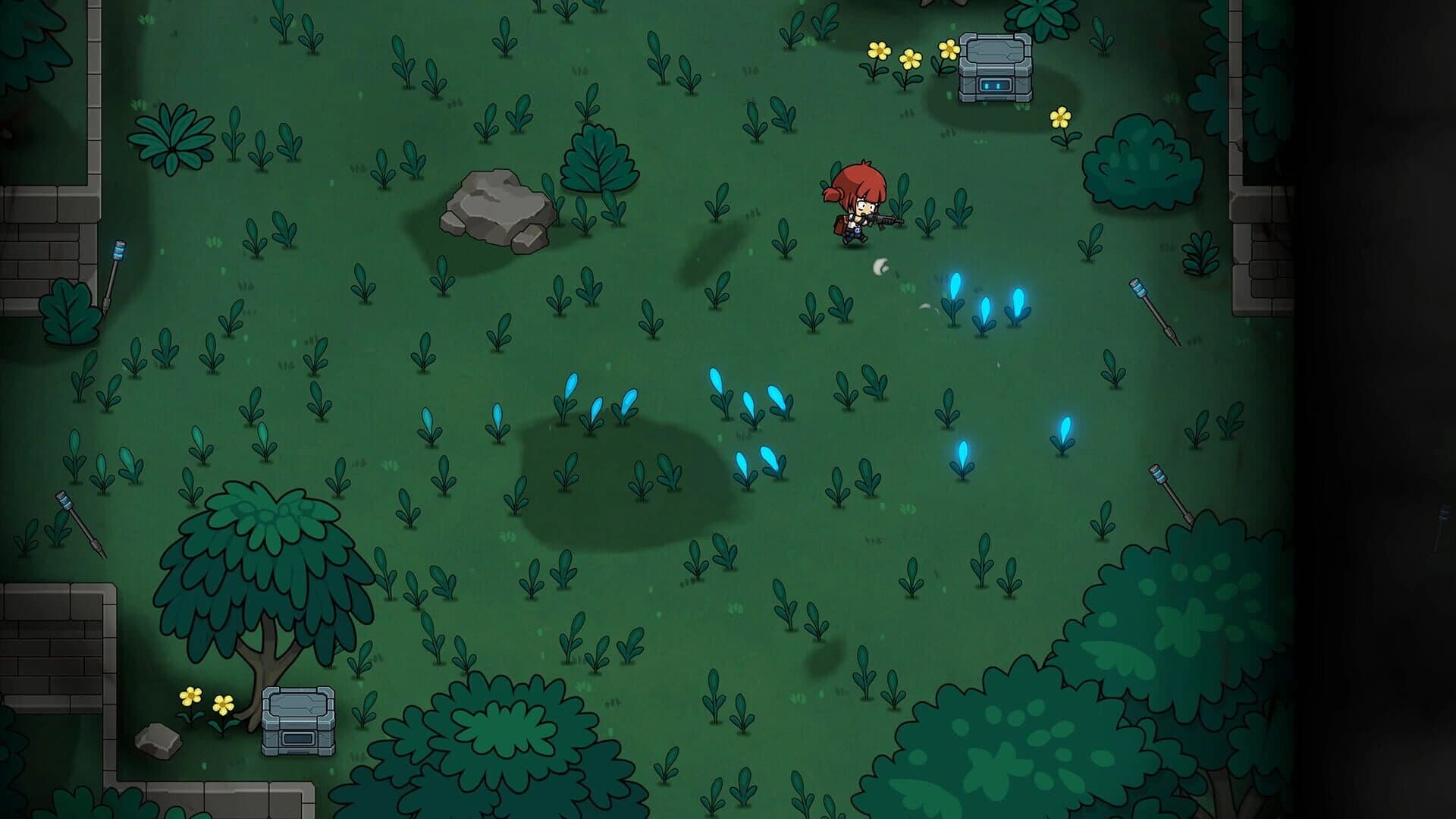 Seed 2313 screenshot 1