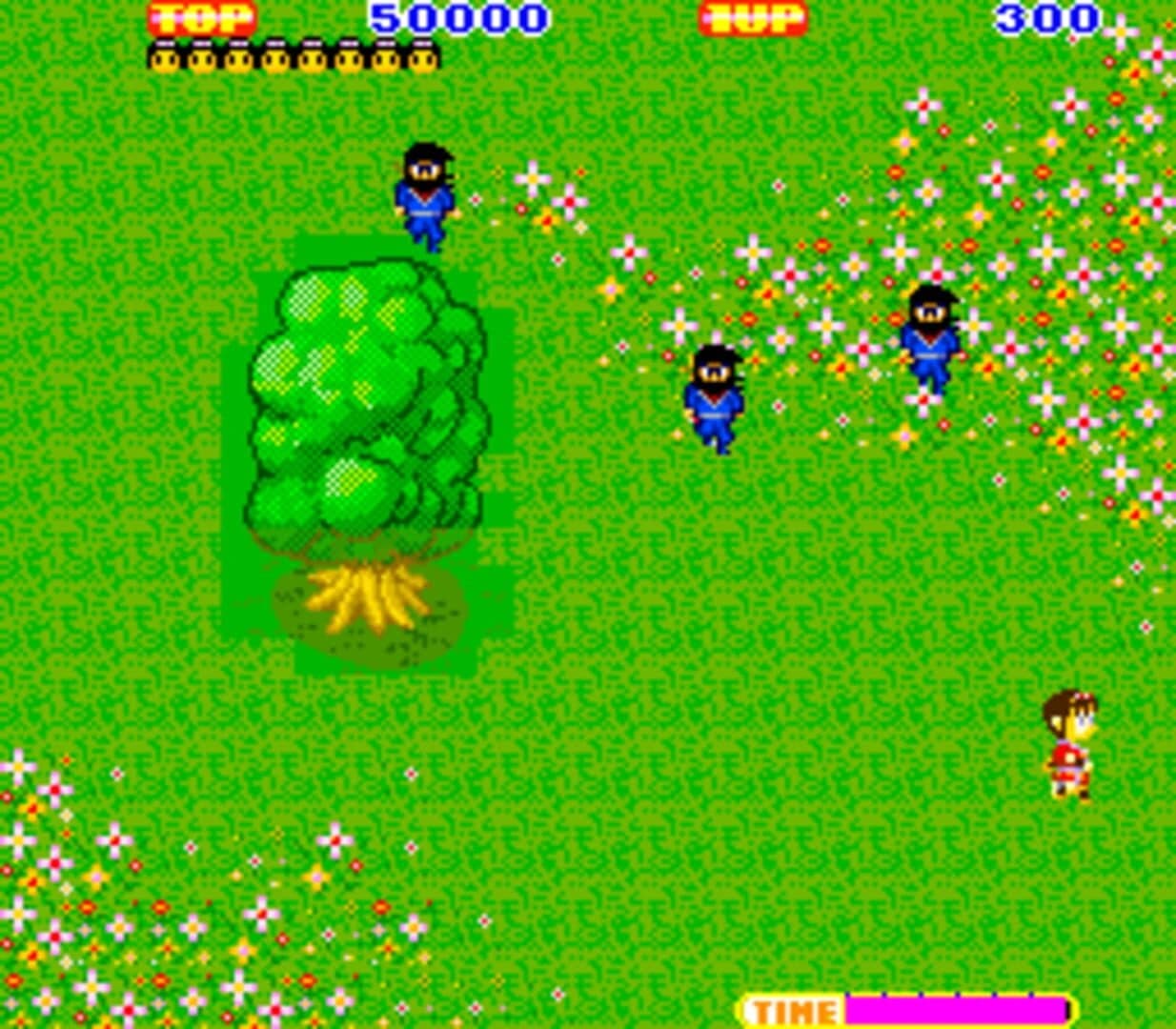 Sega Ninja screenshot 4
