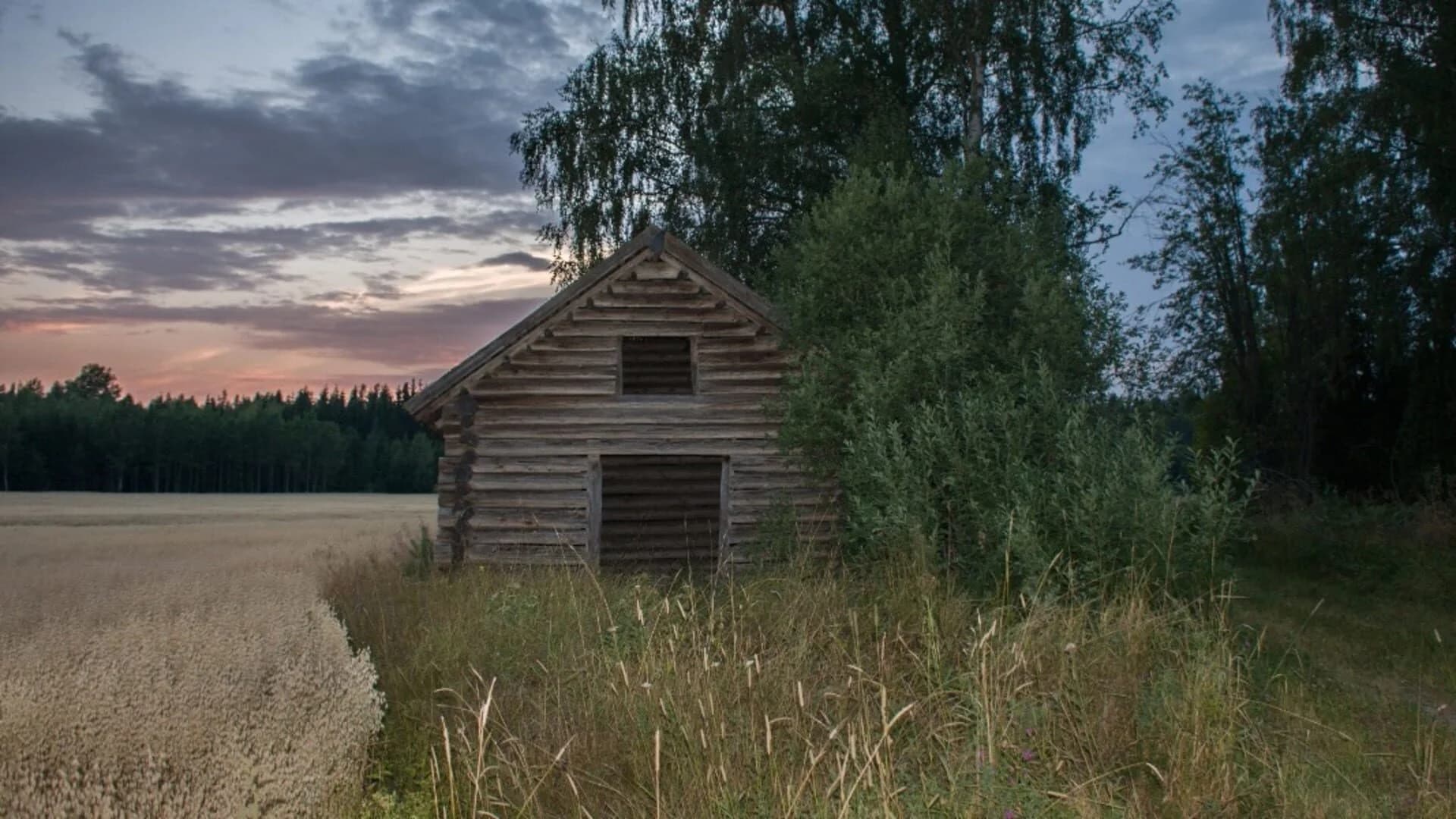 Shades of Black screenshot 4