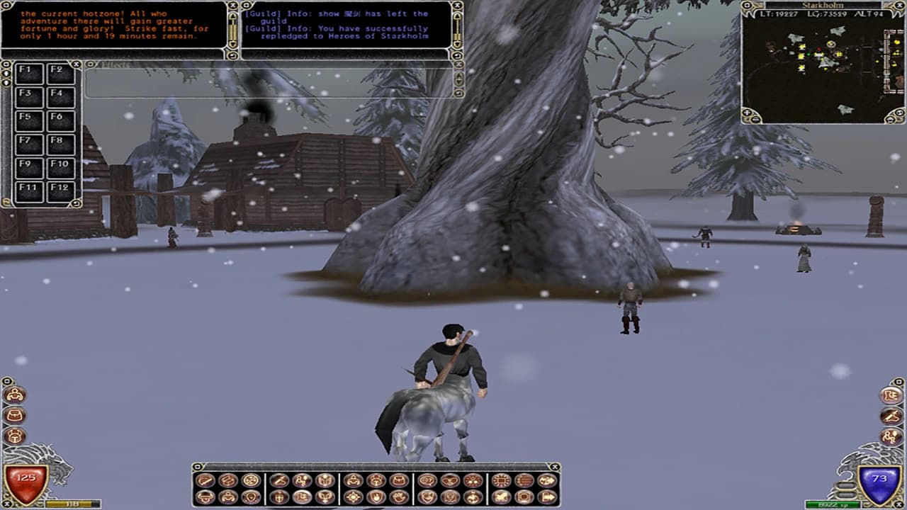 Shadowbane screenshot 5