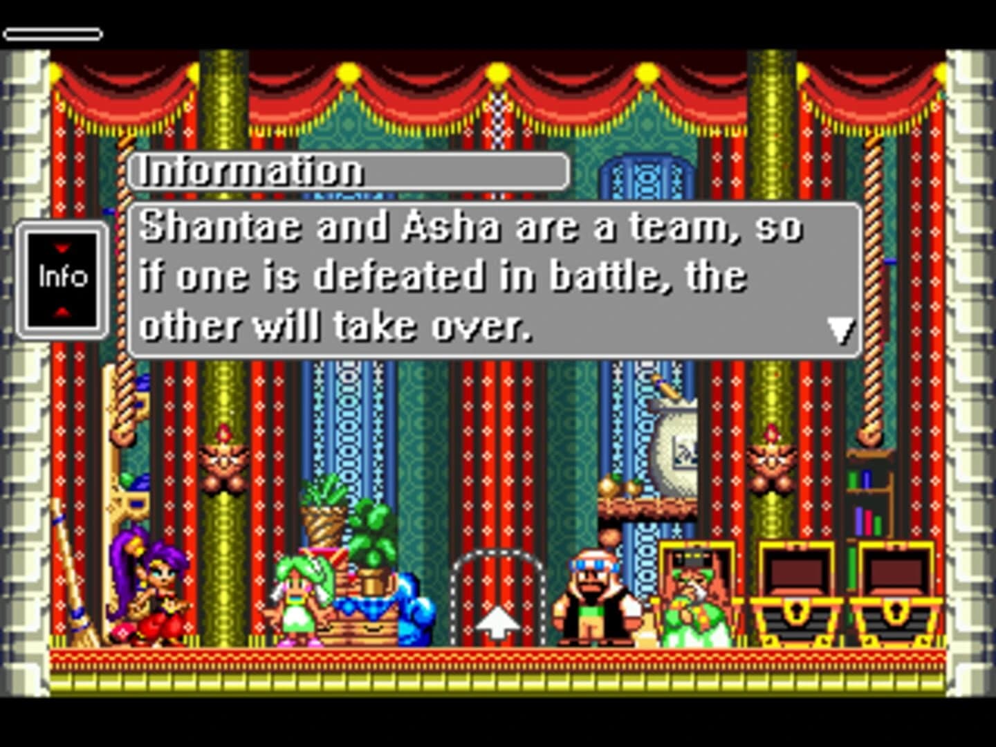 Shantae and Asha: Dream Fantasia screenshot 3