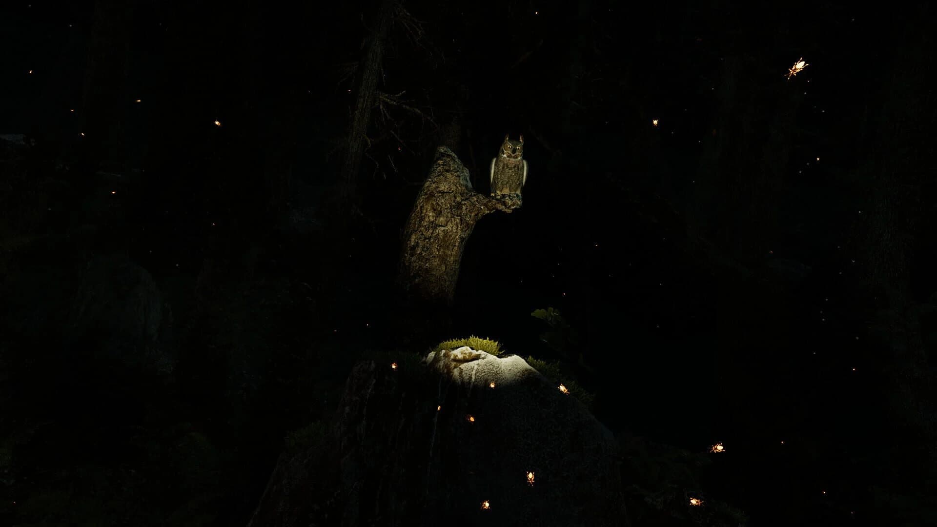 Shinrin-yoku screenshot 2