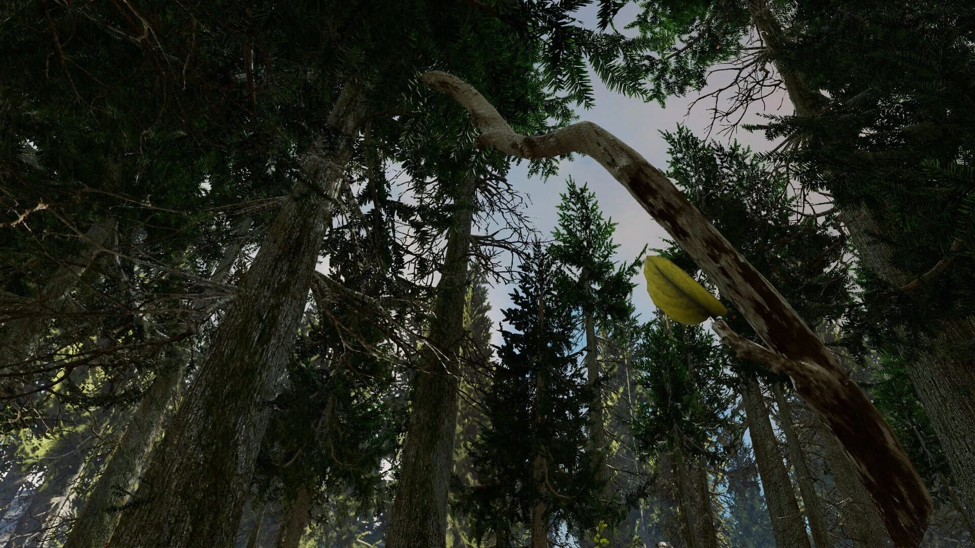 Shinrin-yoku screenshot 5