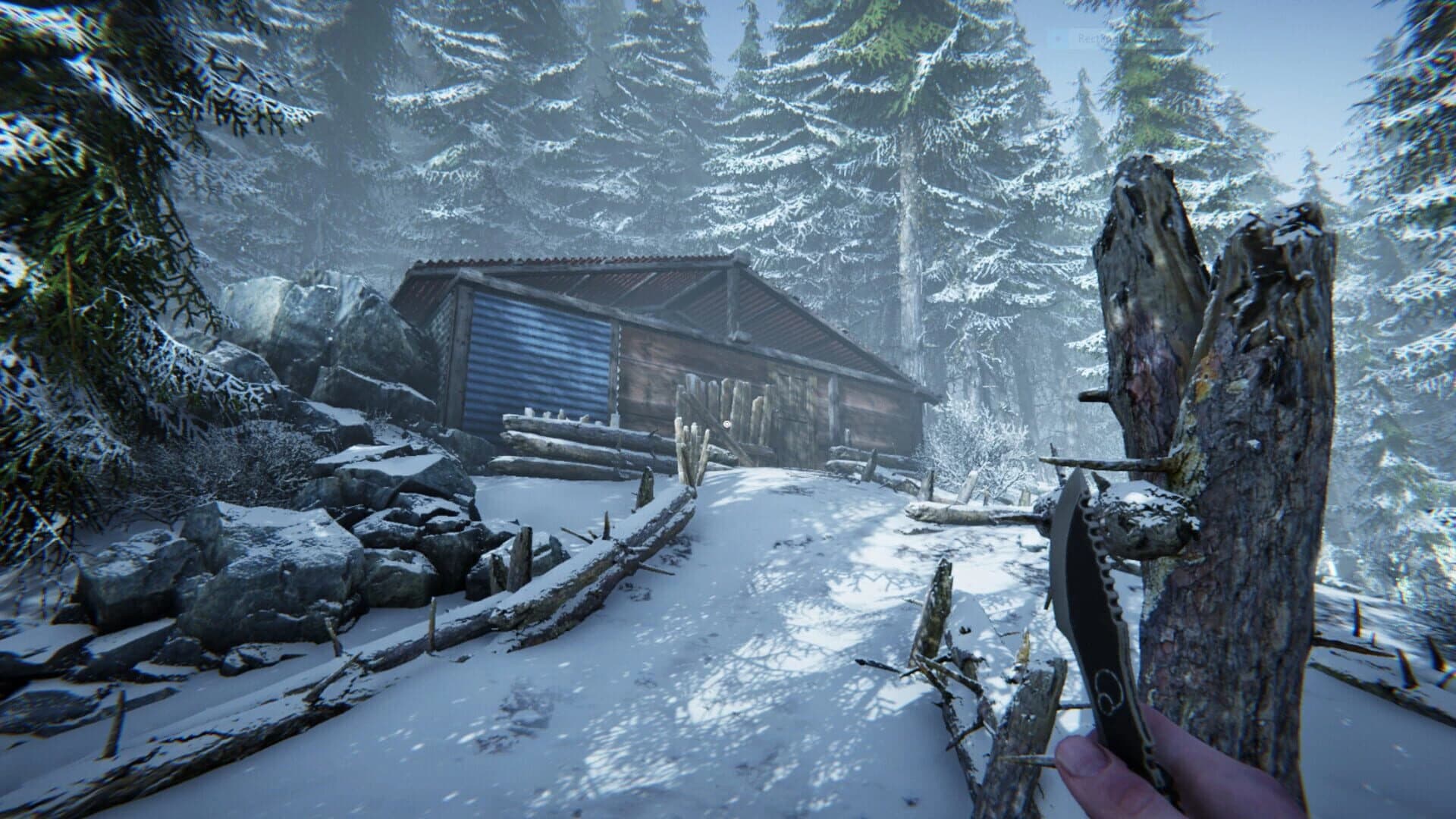 Silence in the Cabin screenshot 4