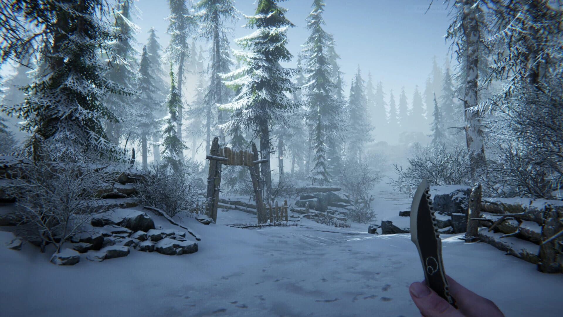Silence in the Cabin screenshot 1