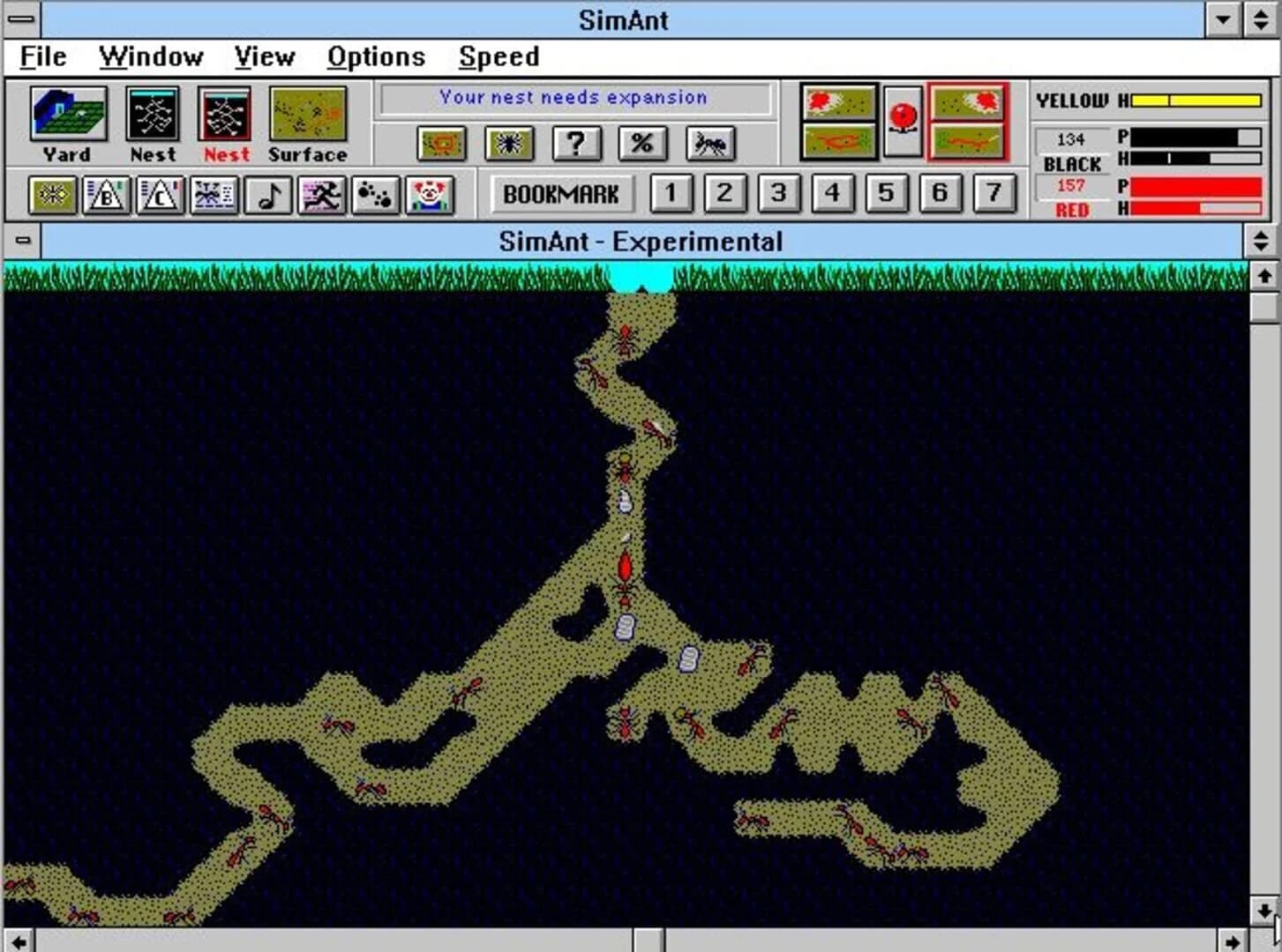 SimAnt screenshot 3