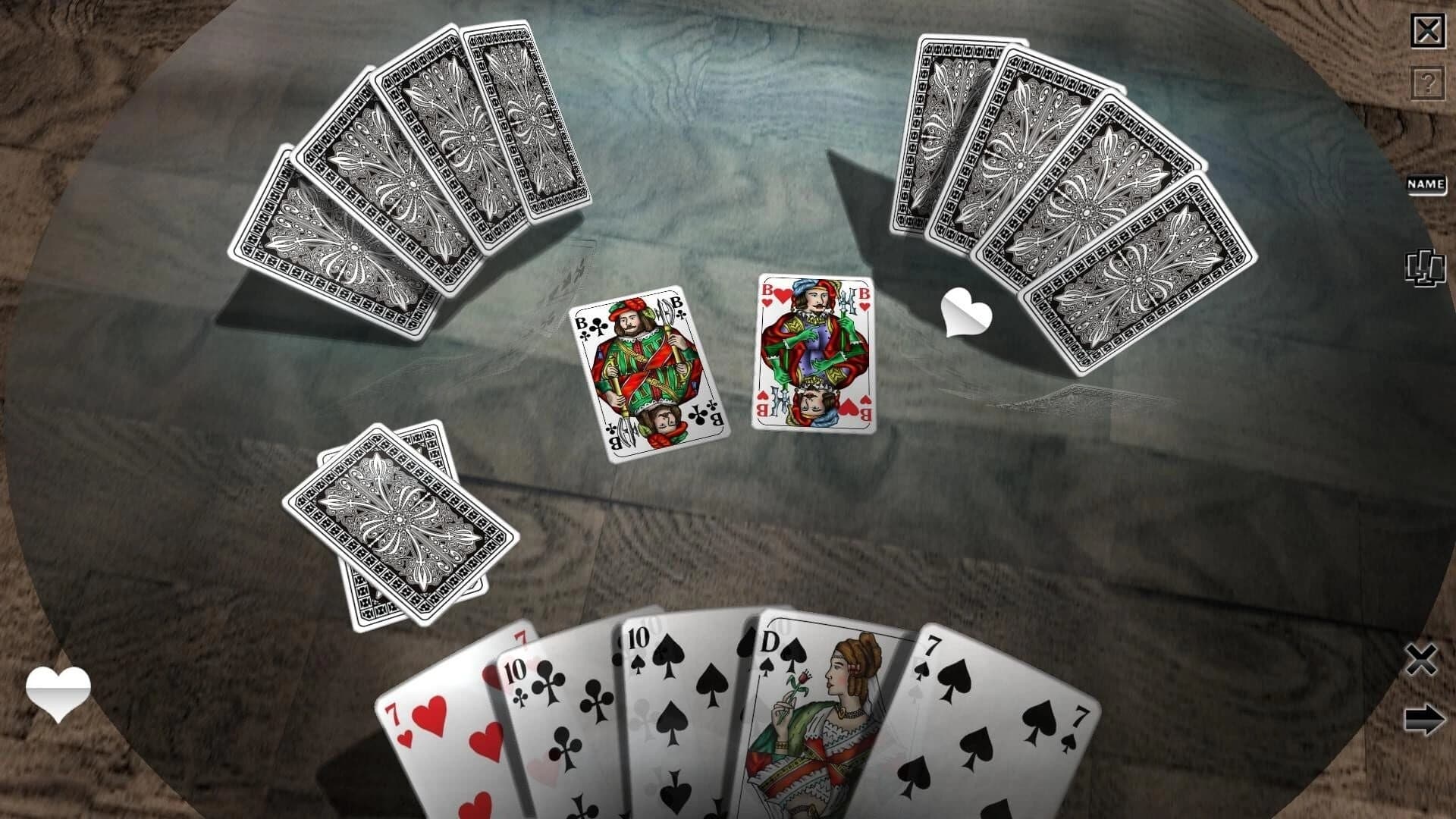 Skat 3D Premium screenshot 2
