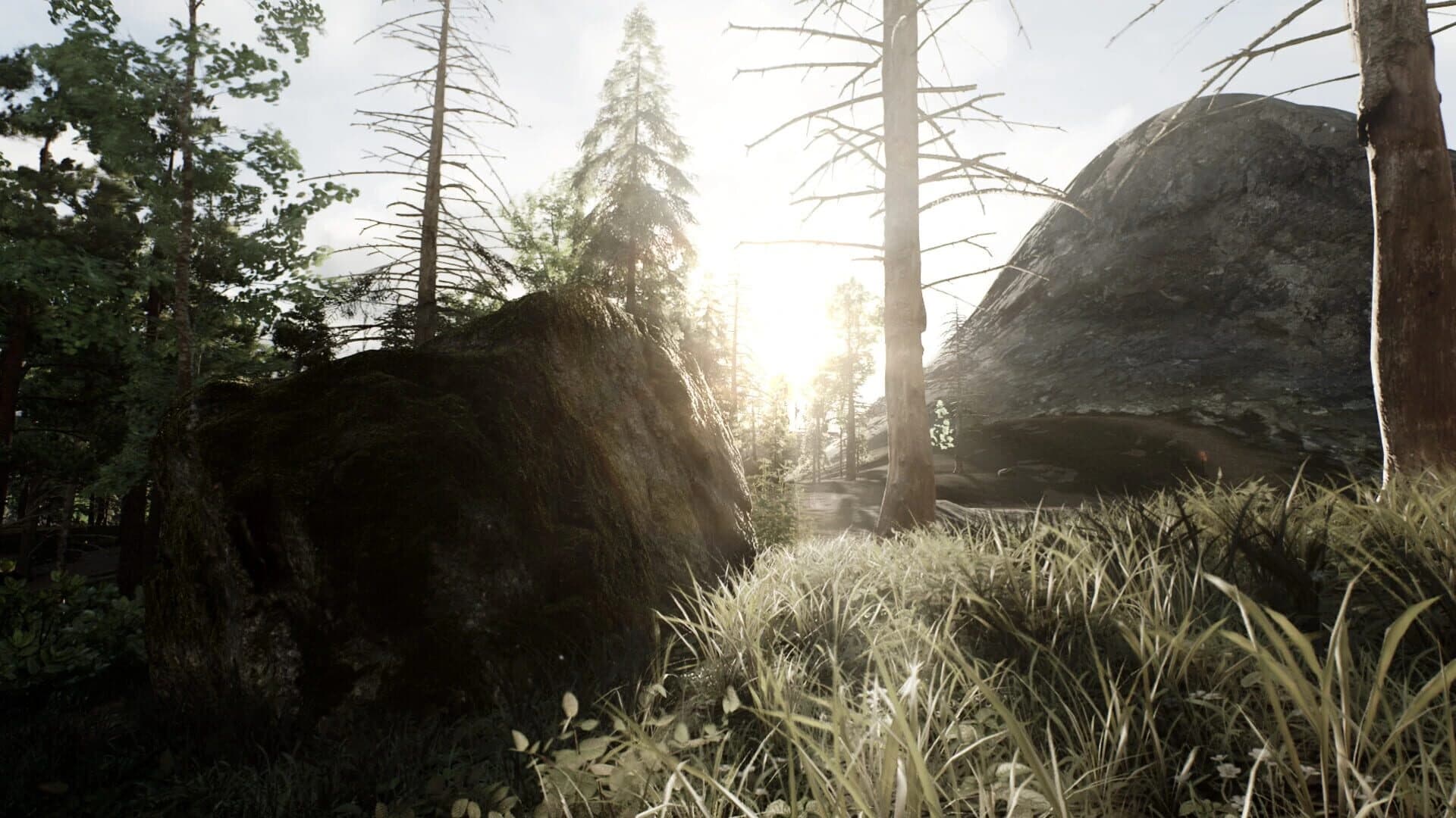 Skye screenshot 1