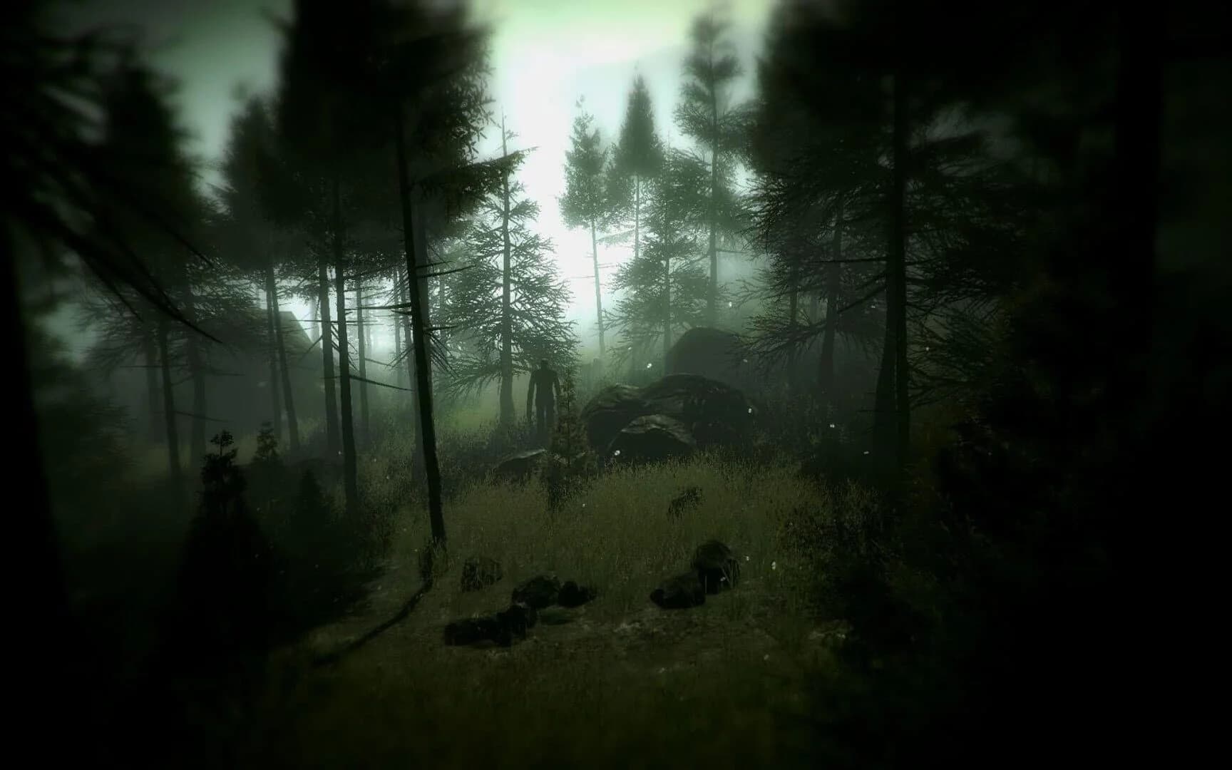 Slender: The Arrival screenshot 5