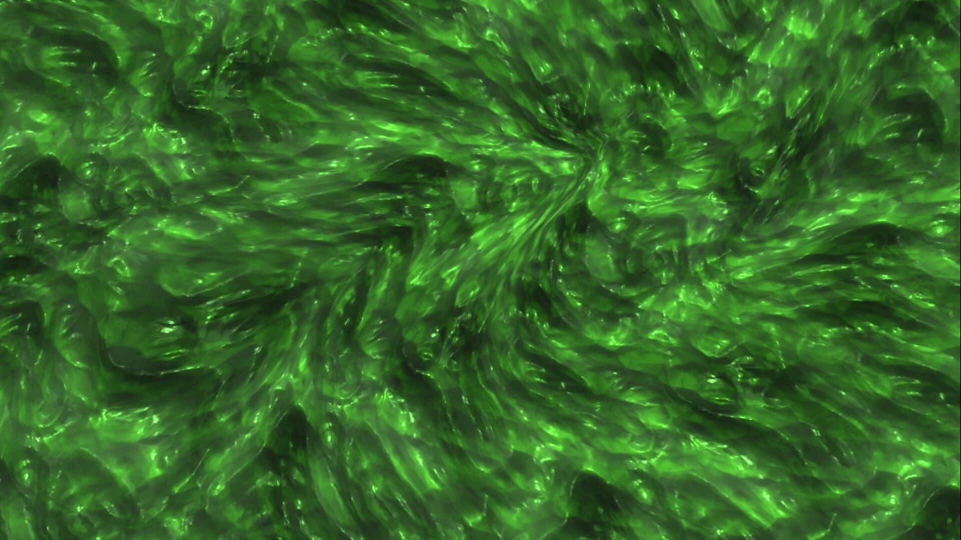 Slime Simulator Games screenshot 5