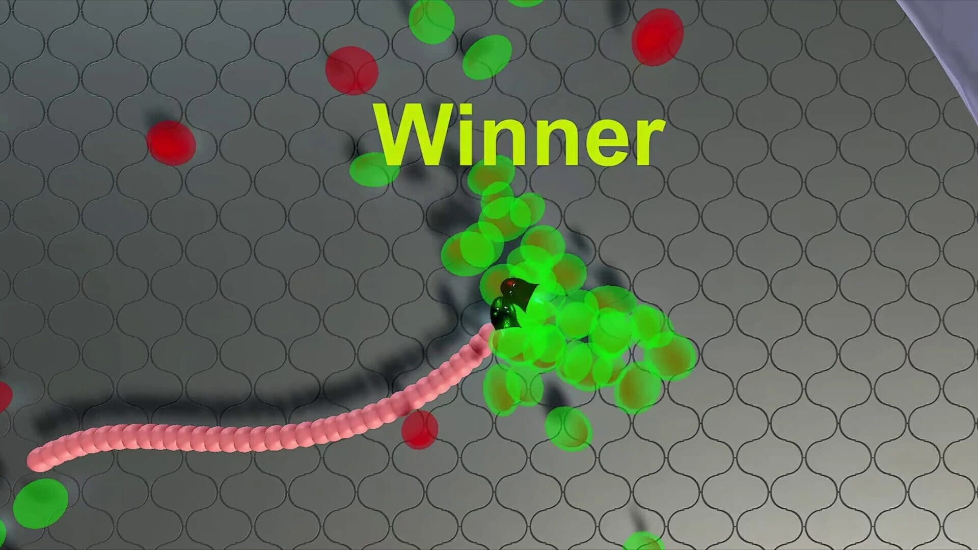Snekteks screenshot 1