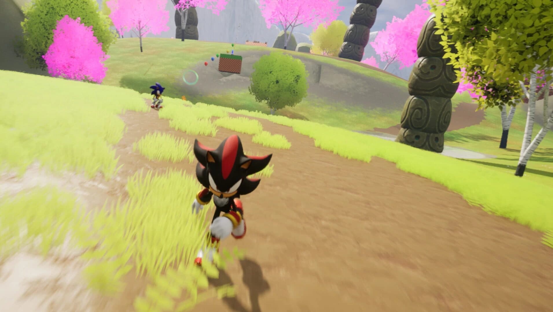 Sonic & Shadow screenshot 5