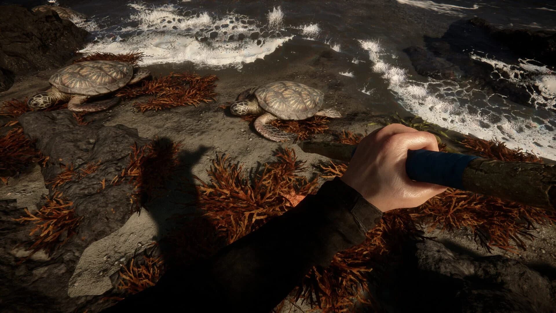 Sons of the Forest screenshot 4