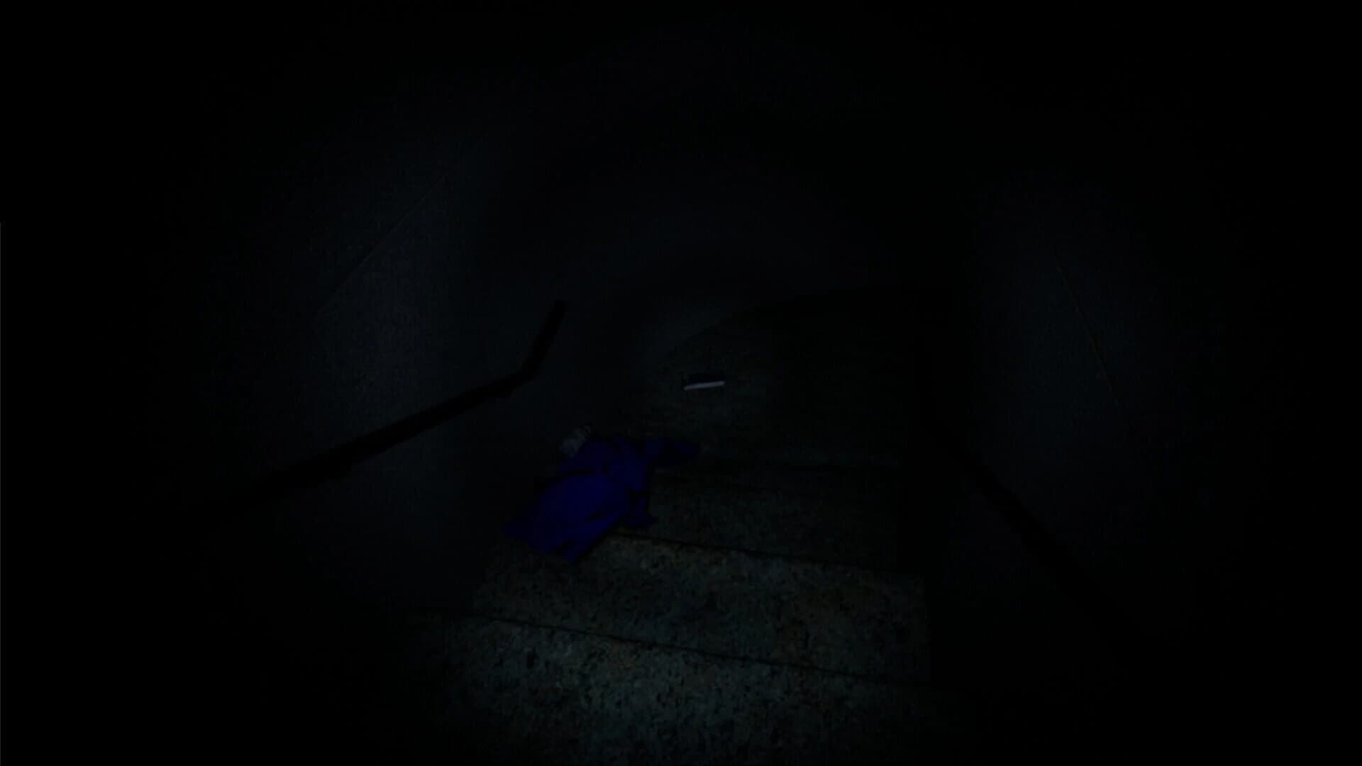 Staircase55 screenshot 3